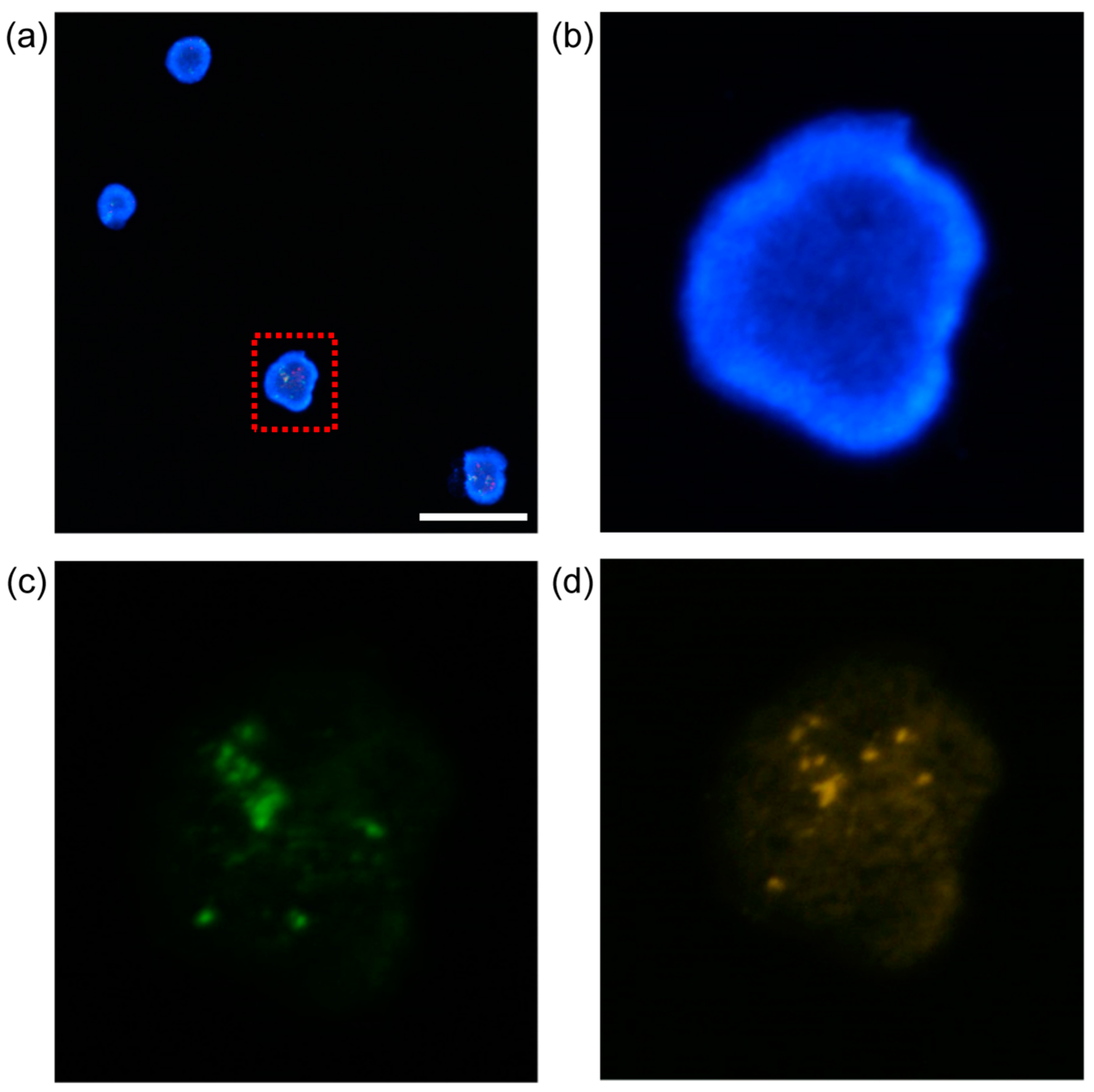 Membranes 13 00707 g006