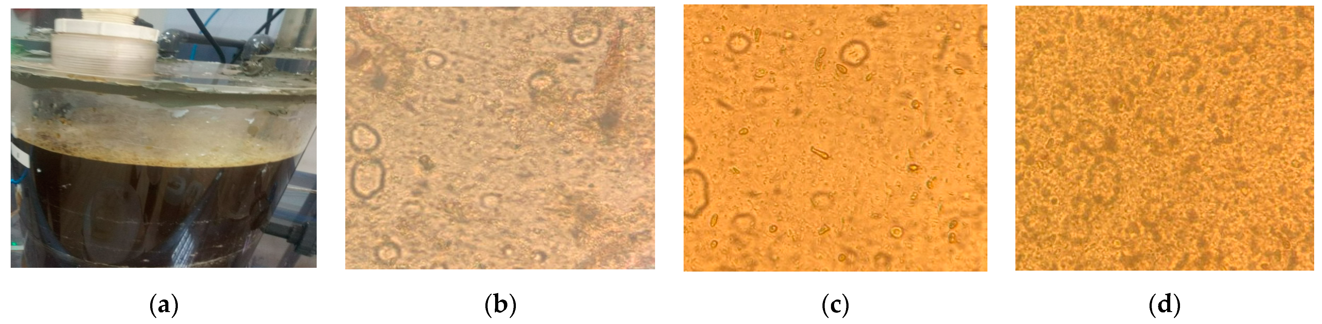 Membranes 13 00710 g006