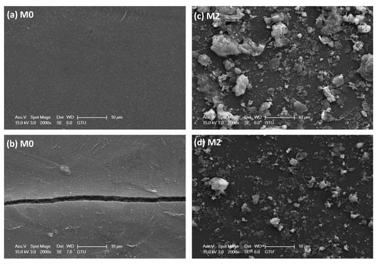 Membranes | Free Full-Text | Loose Nanofiltration Membrane ...