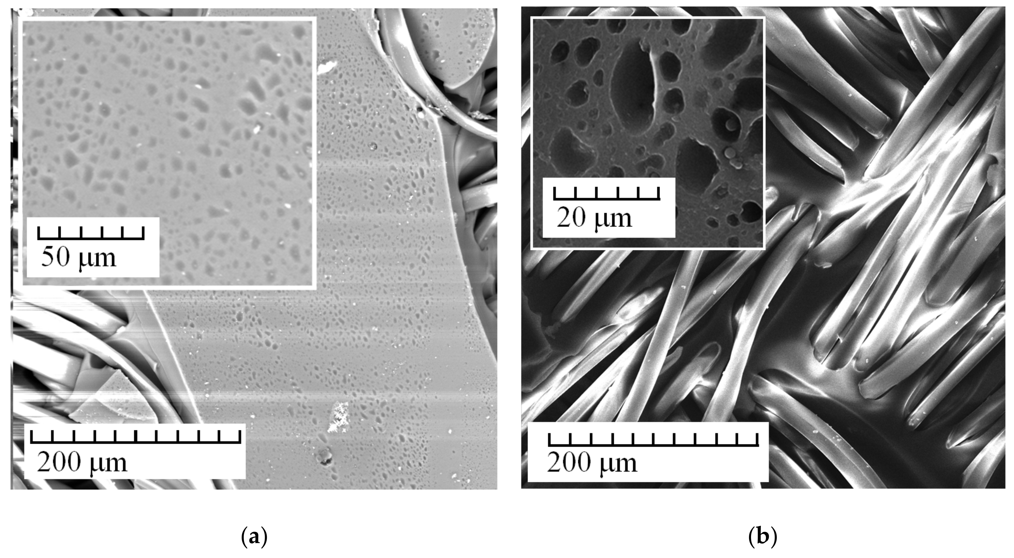 Membranes 13 00742 g002