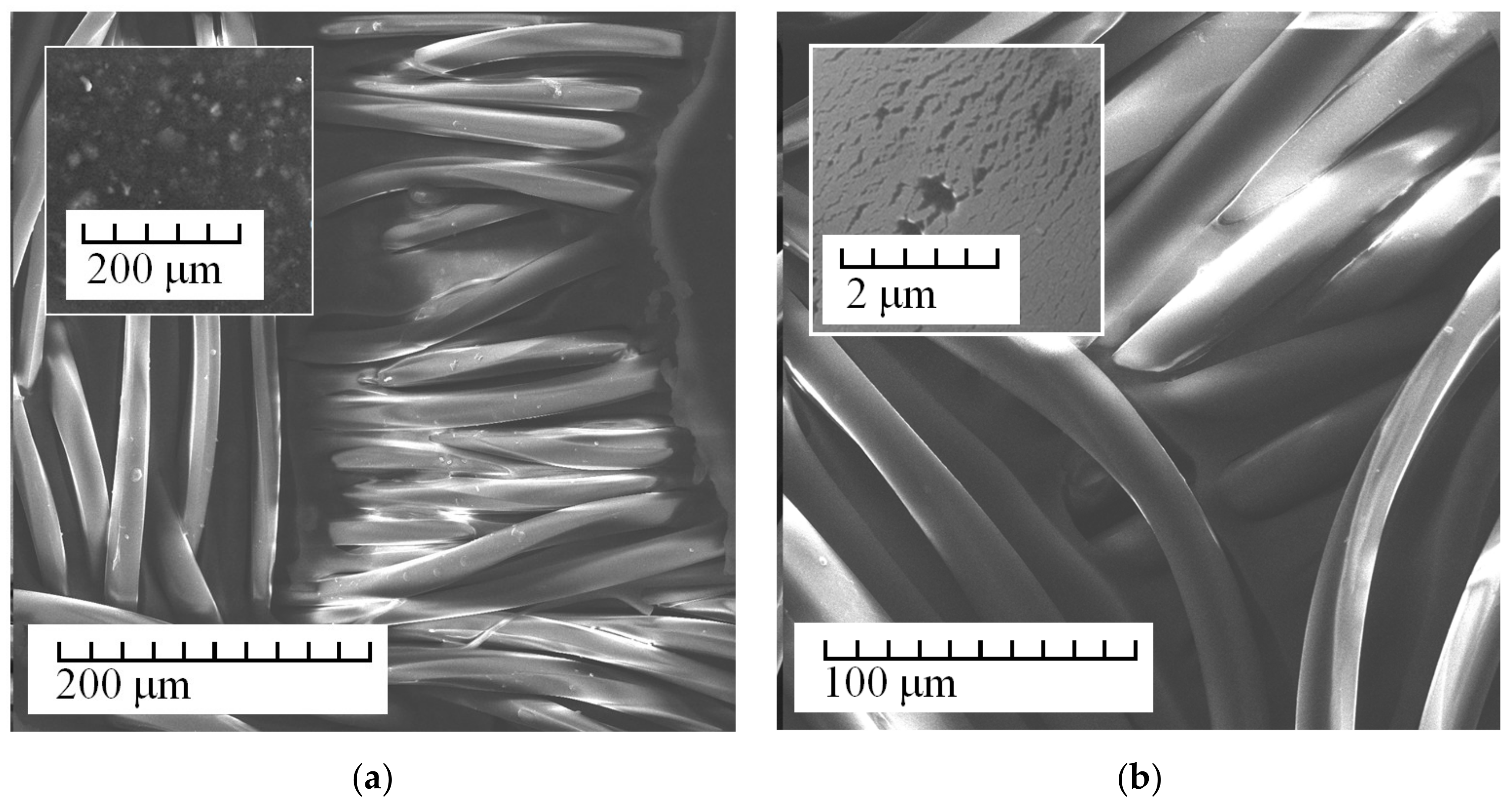 Membranes 13 00742 g003