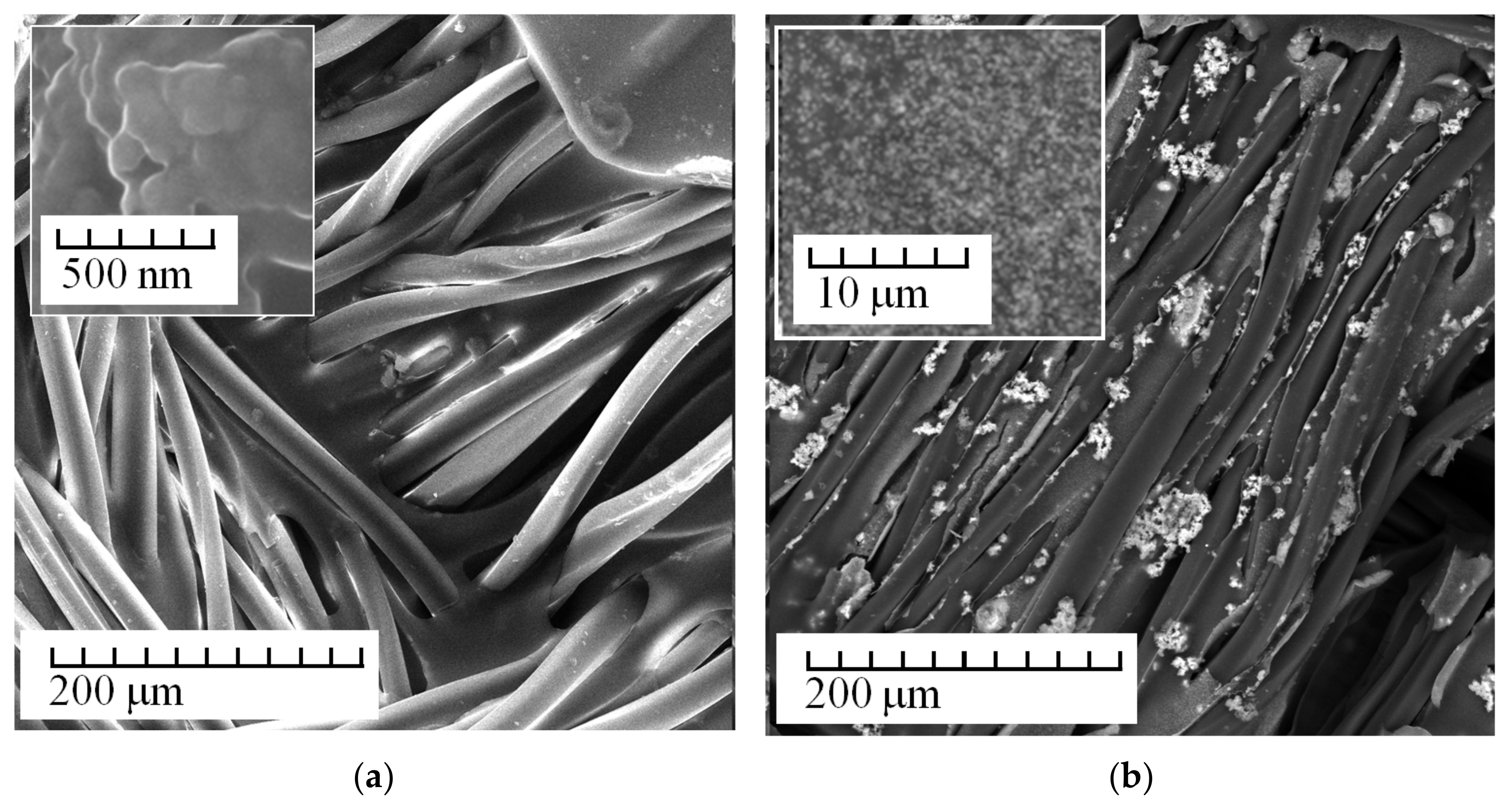 Membranes 13 00742 g004