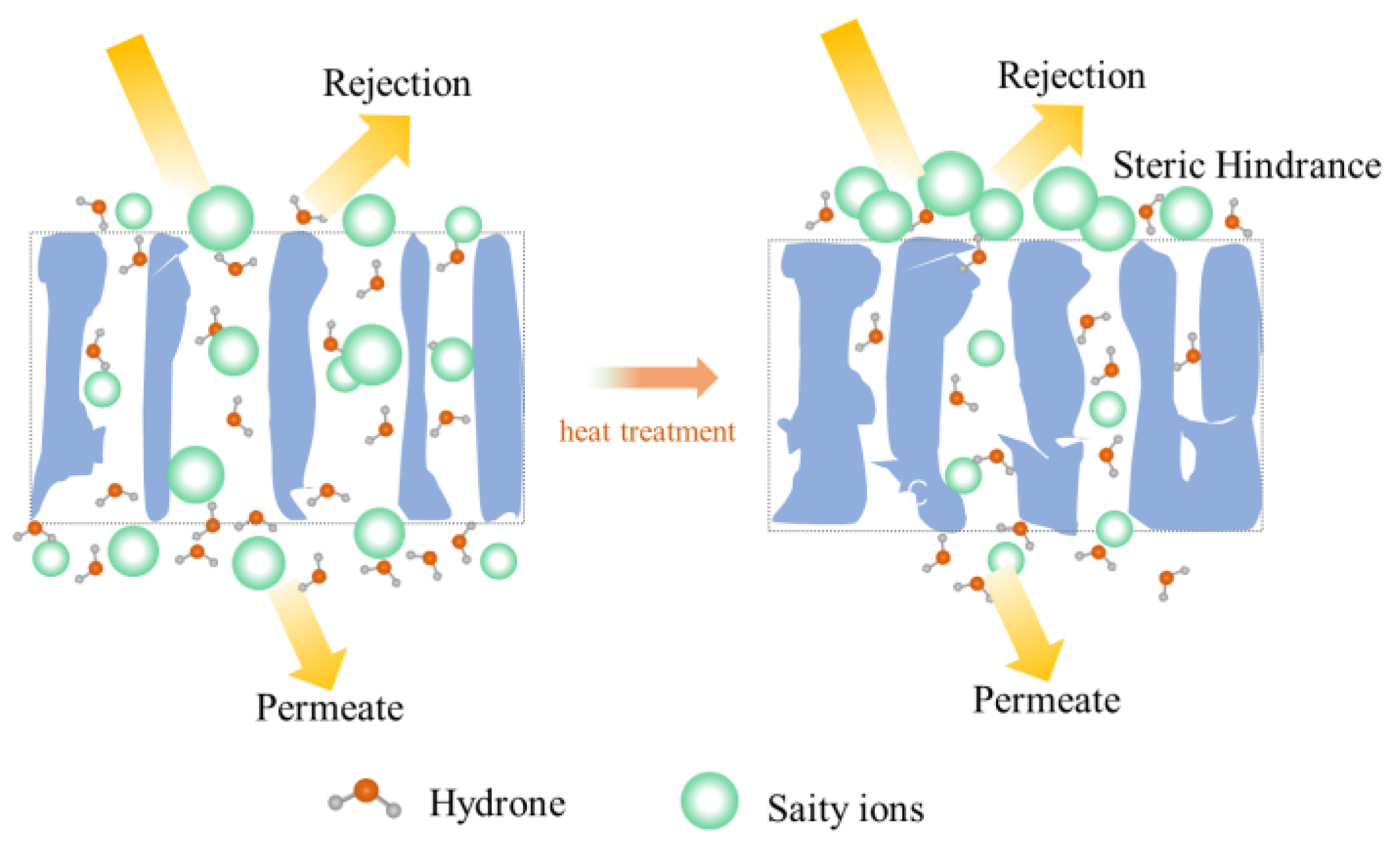 Membranes 13 00759 g007
