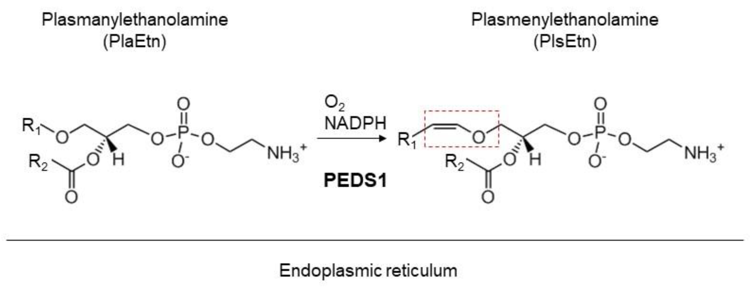 Membranes 13 00764 g002 Membranes 13 00764 g002