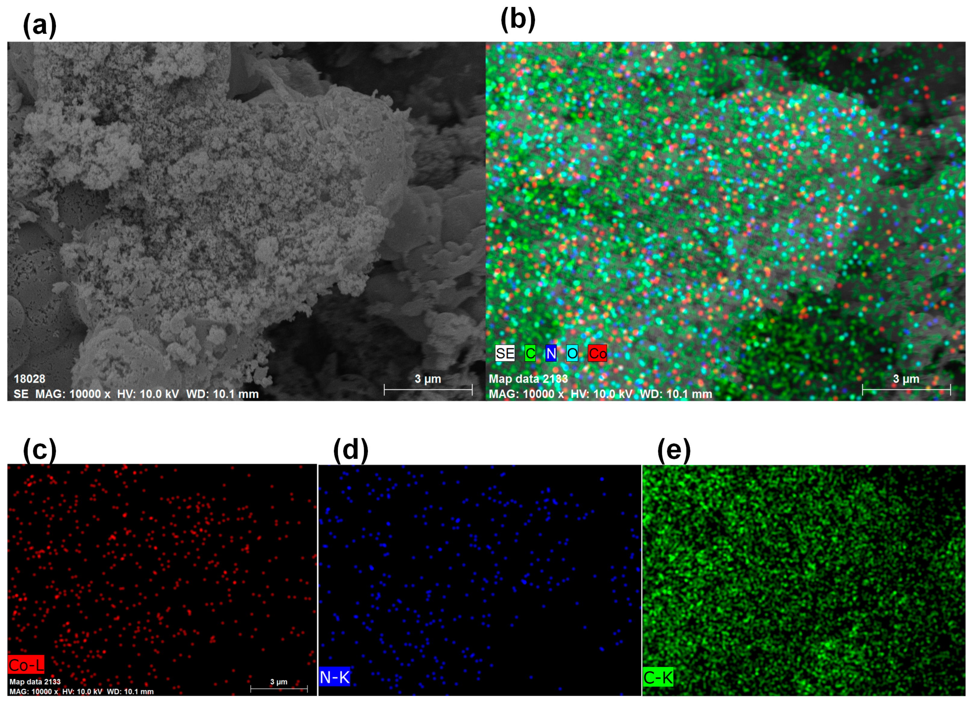 Membranes 13 00769 g005