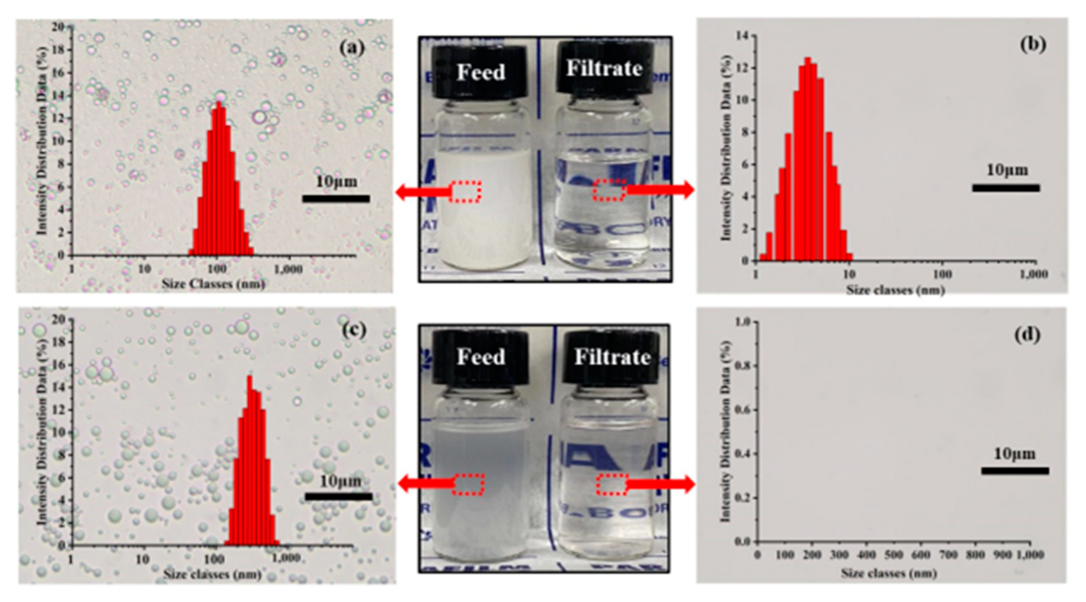 Membranes 13 00808 g004