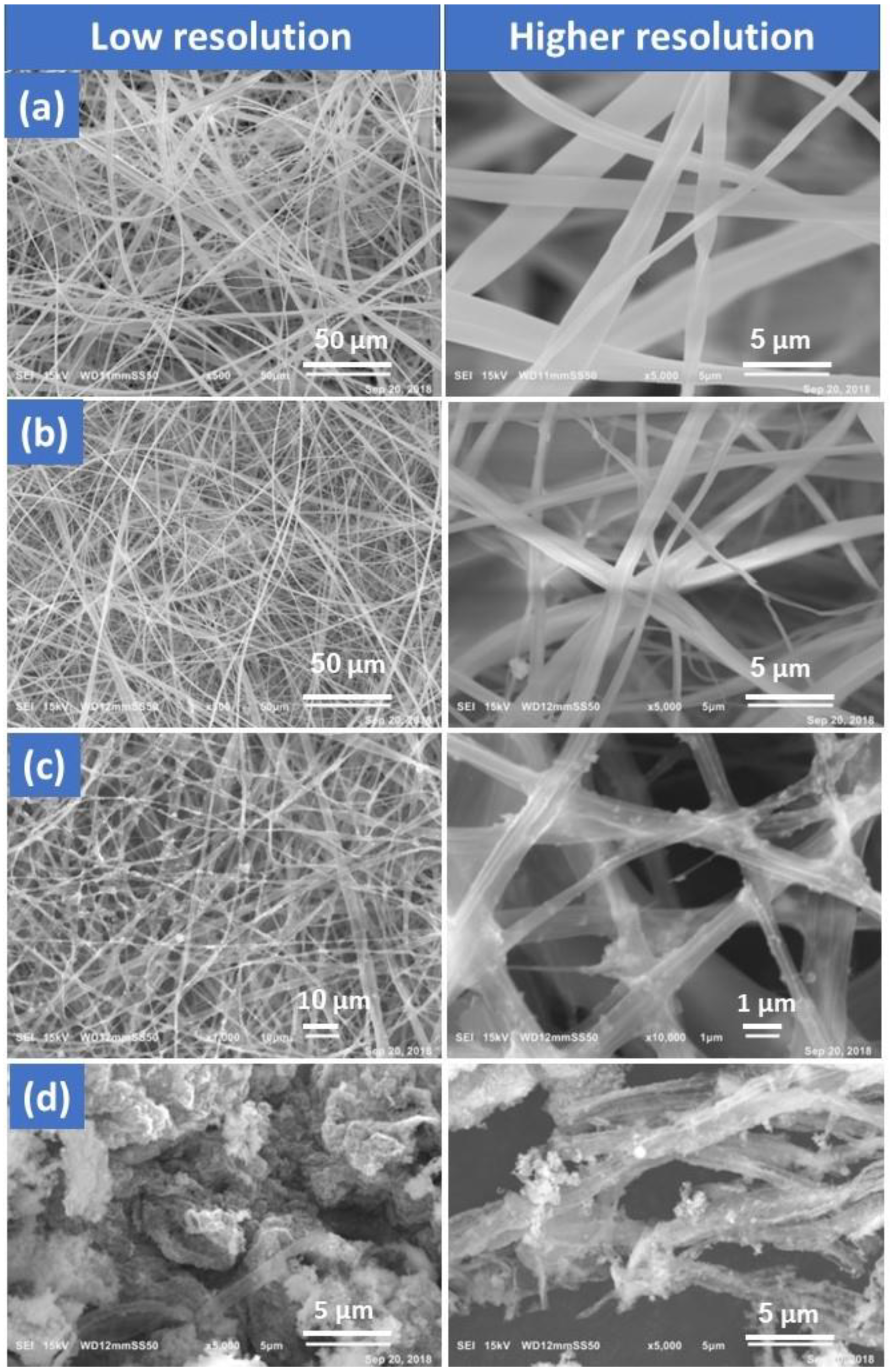 Membranes 13 00810 g002