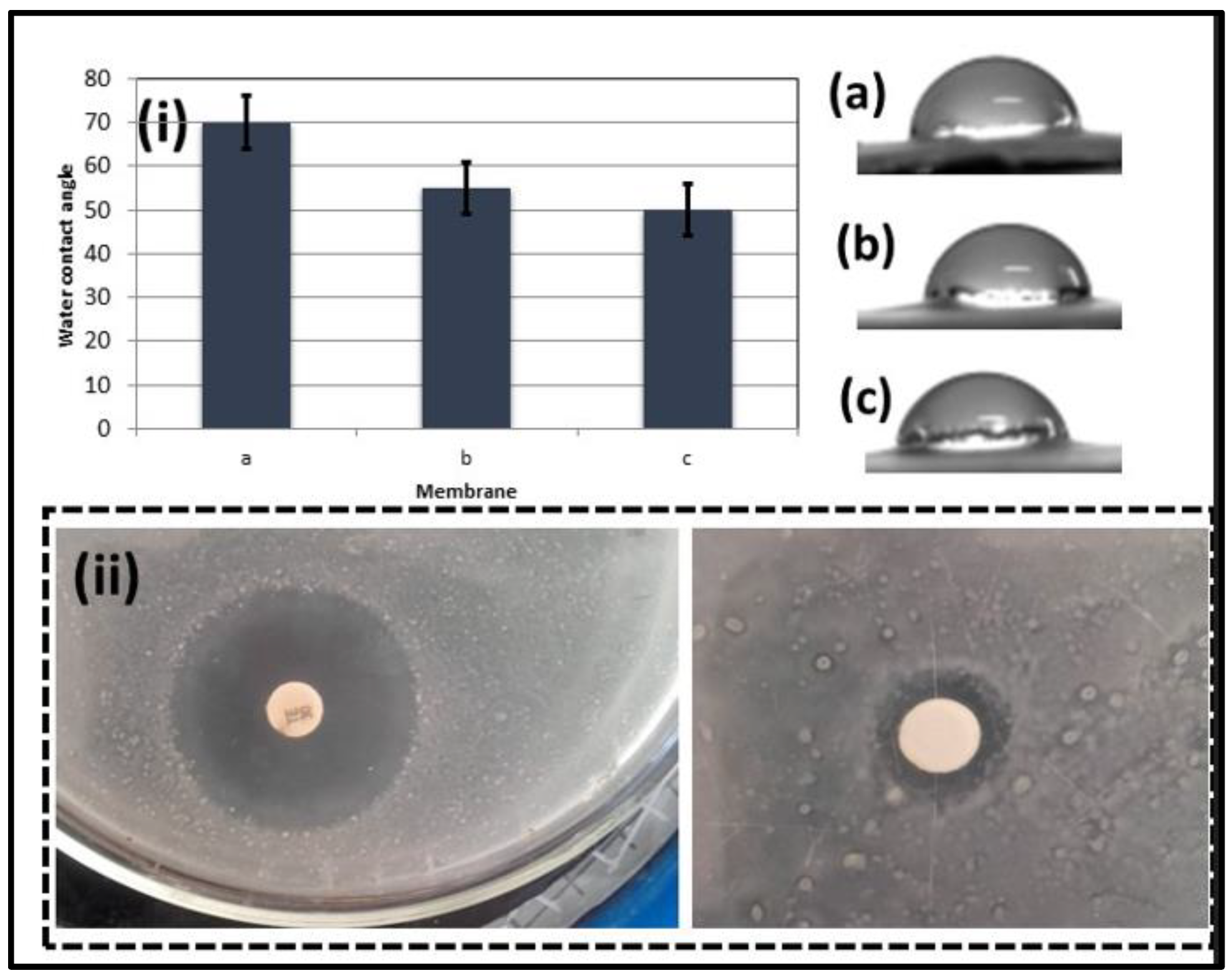 Membranes 13 00810 g005
