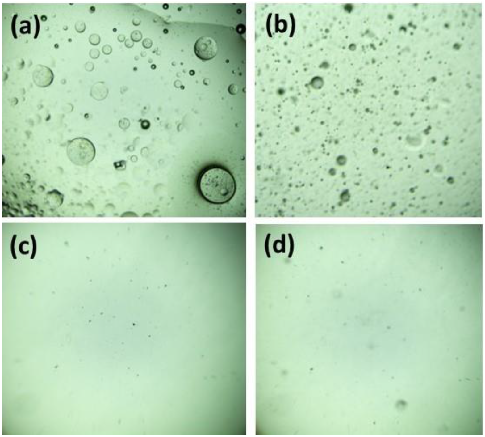 Membranes 13 00810 g010