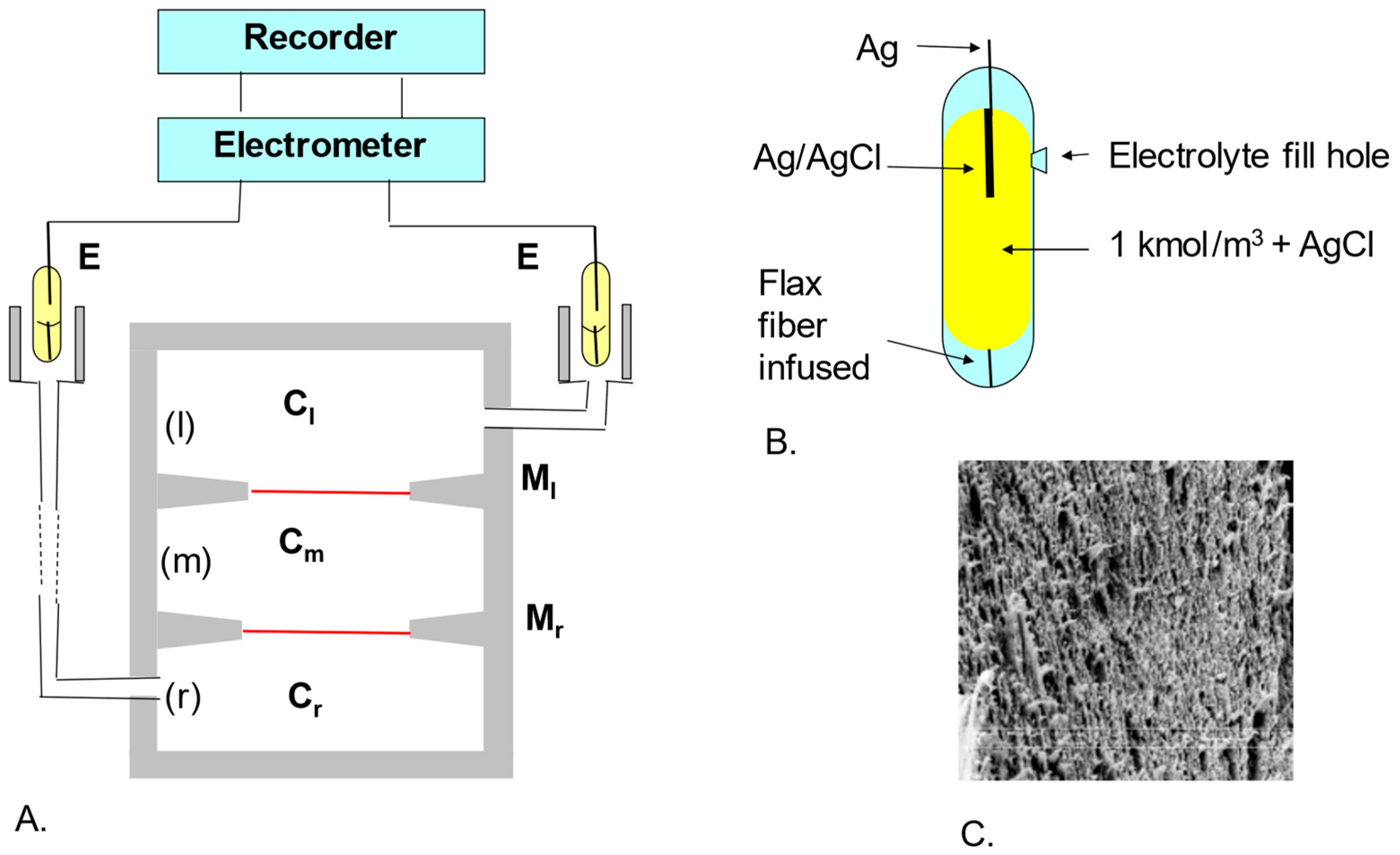 Membranes 13 00833 g002