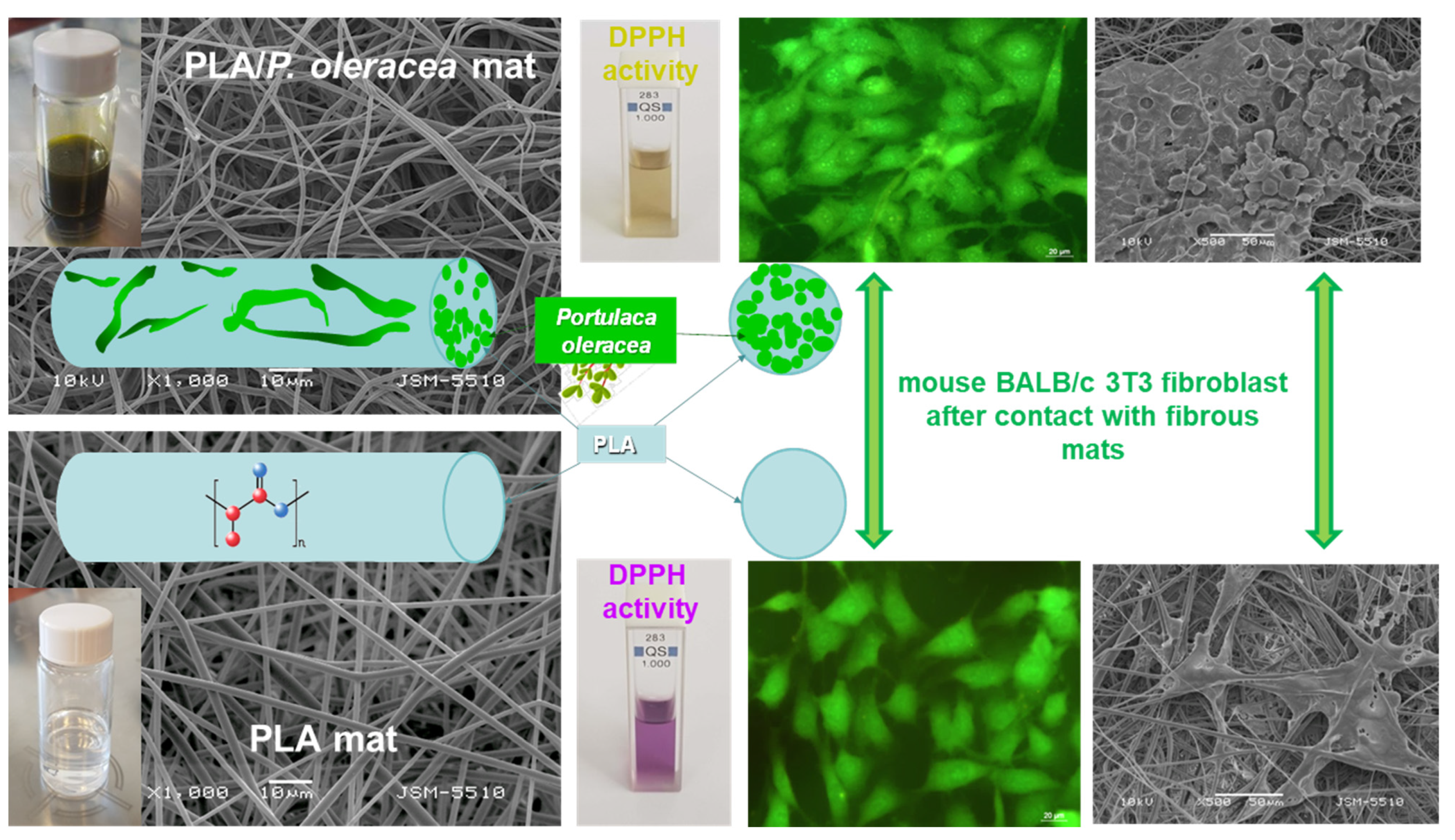Membranes 13 00840 g007