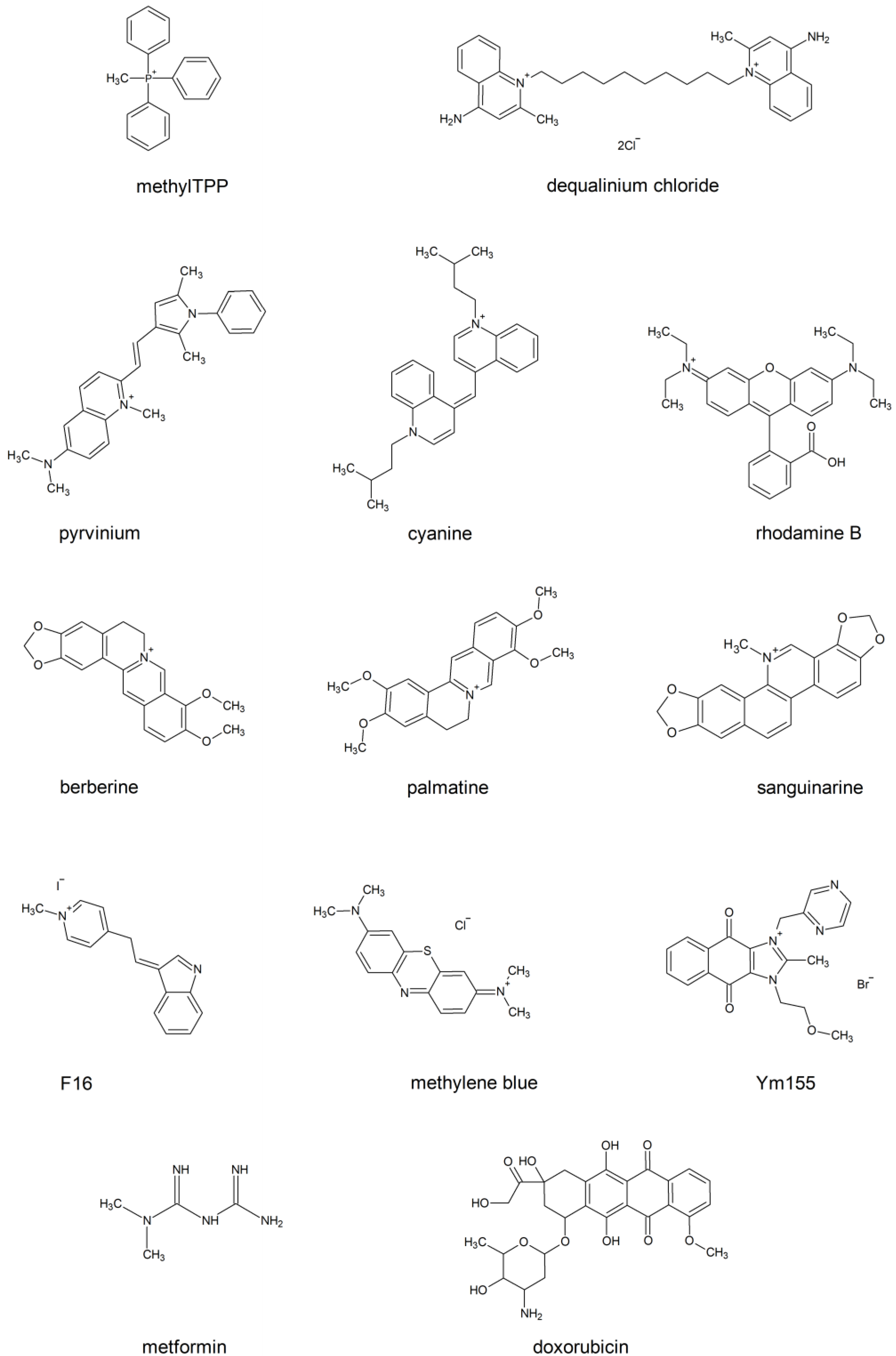 Membranes 13 00841 g001 Membranes 13 00841 g001