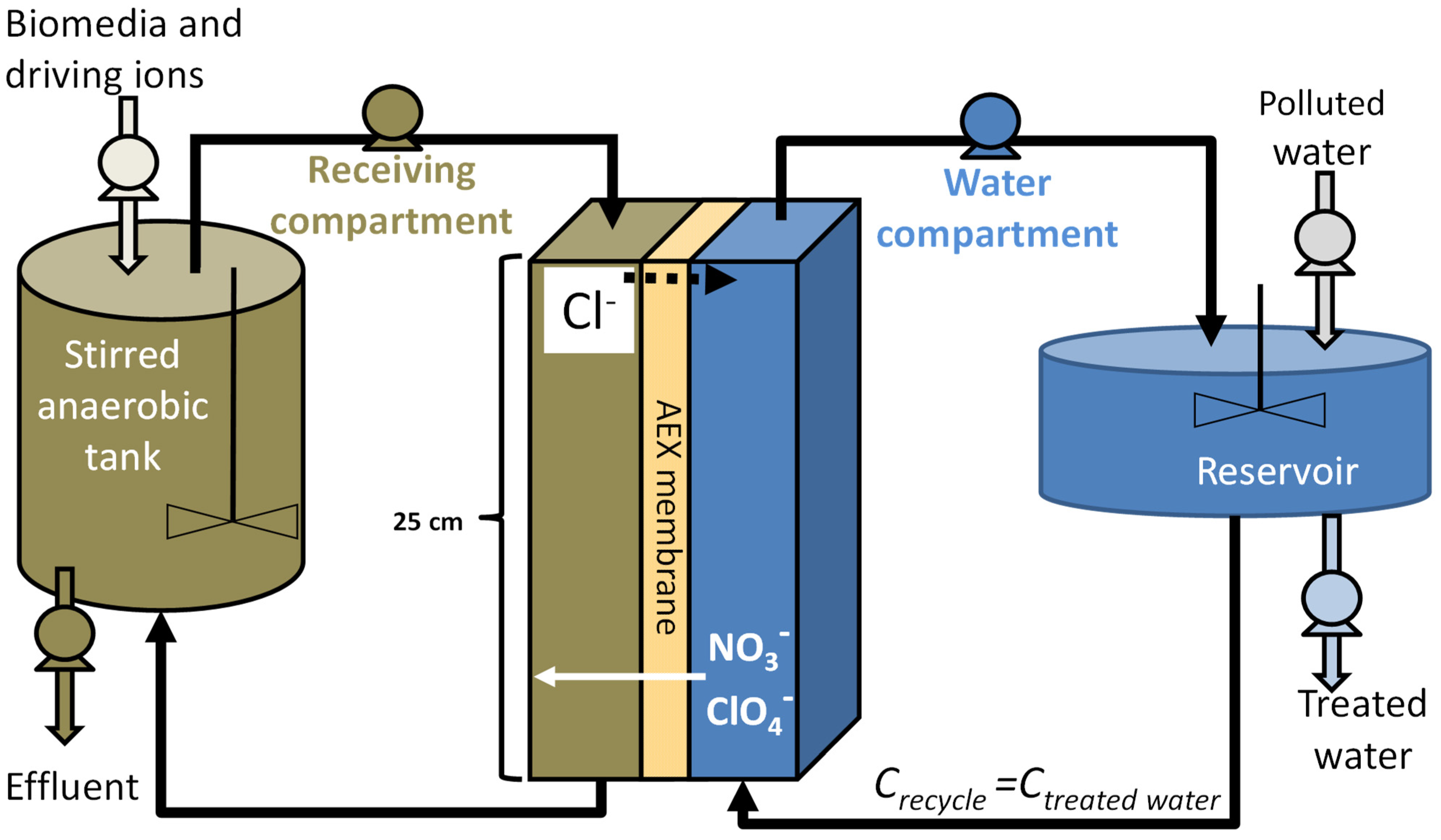 Membranes 13 00856 g001