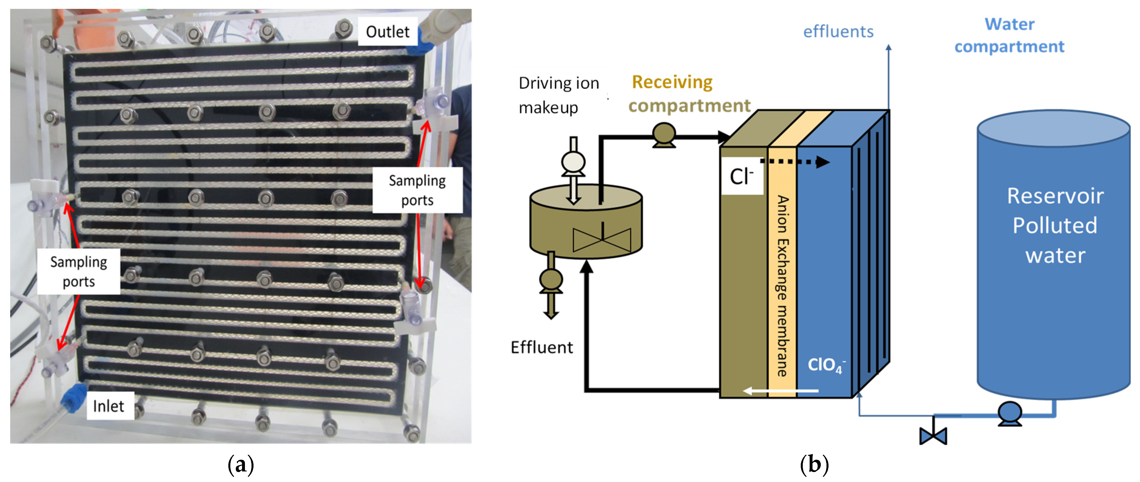 Membranes 13 00856 g002
