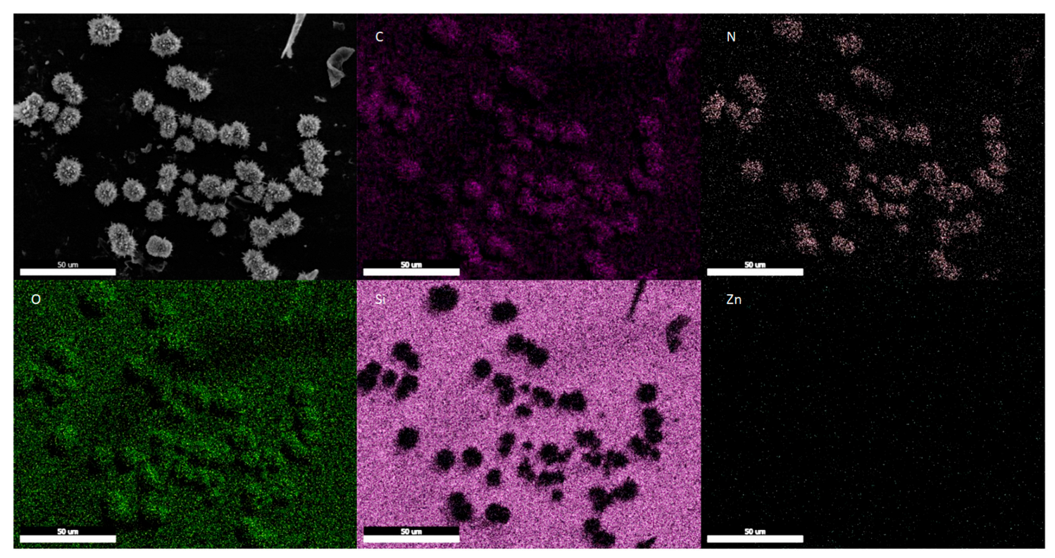Membranes 13 00863 g004