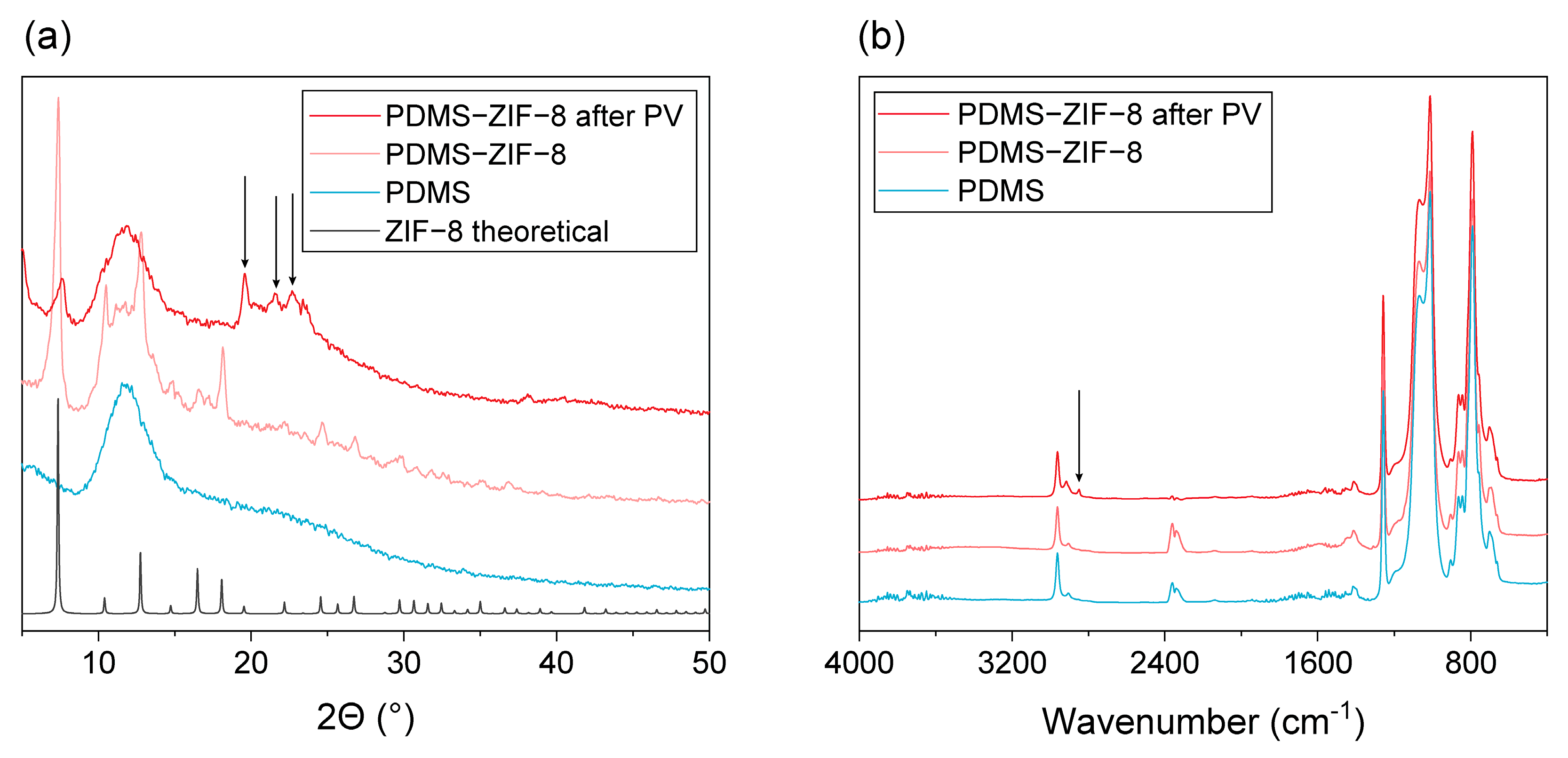 Membranes 13 00863 g005