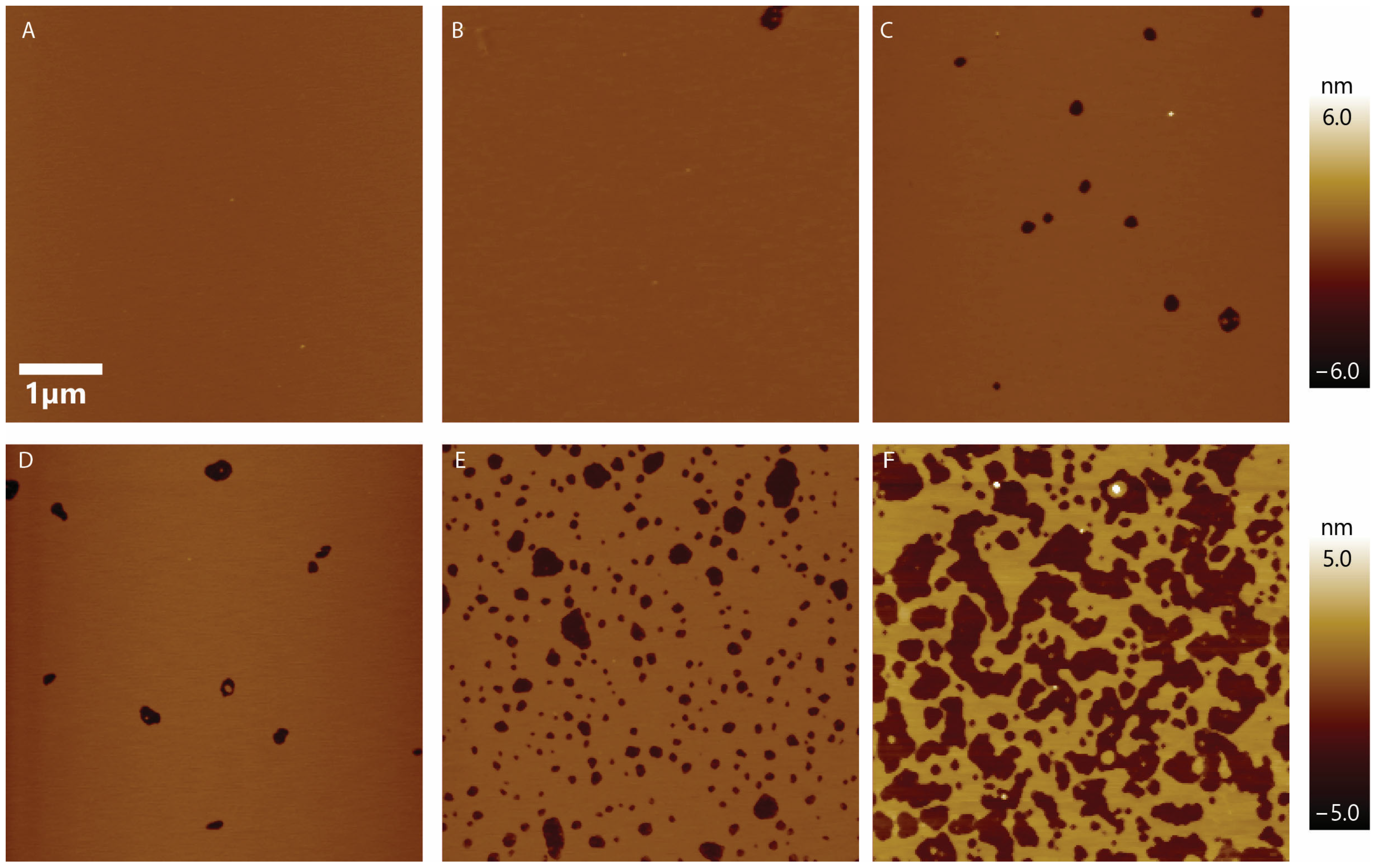 Membranes 13 00864 g002