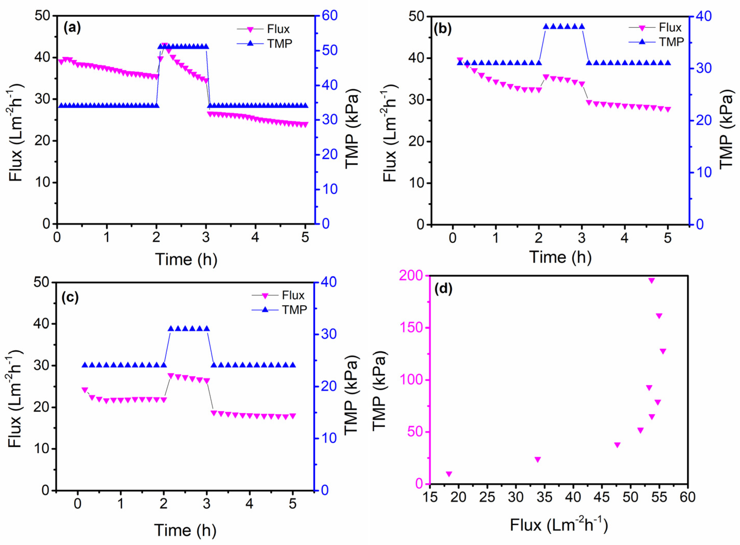 Membranes 13 00880 g008