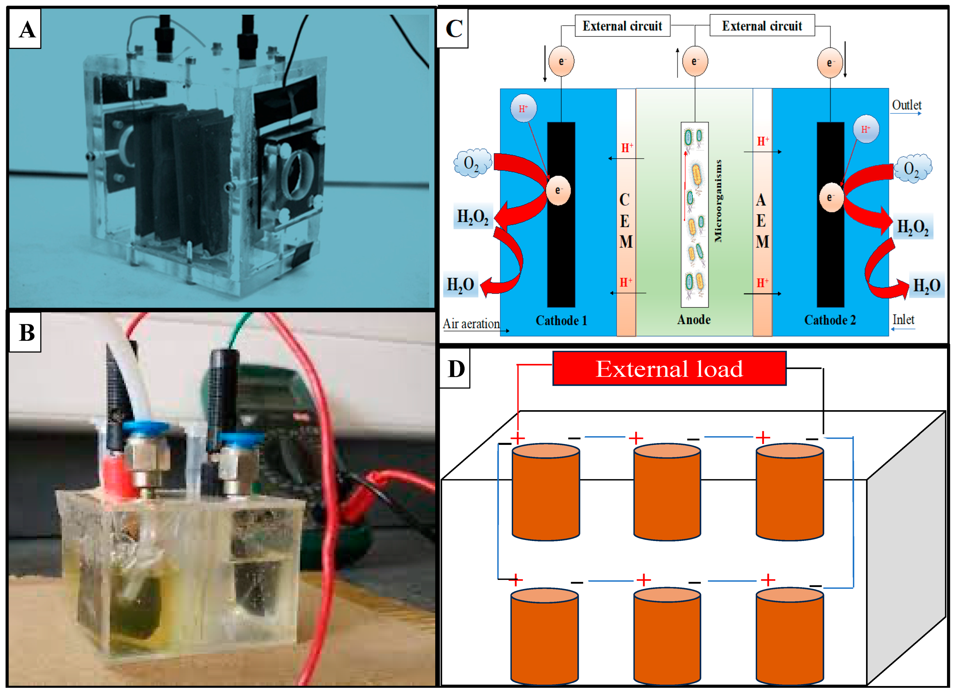 Membranes 13 00884 g002