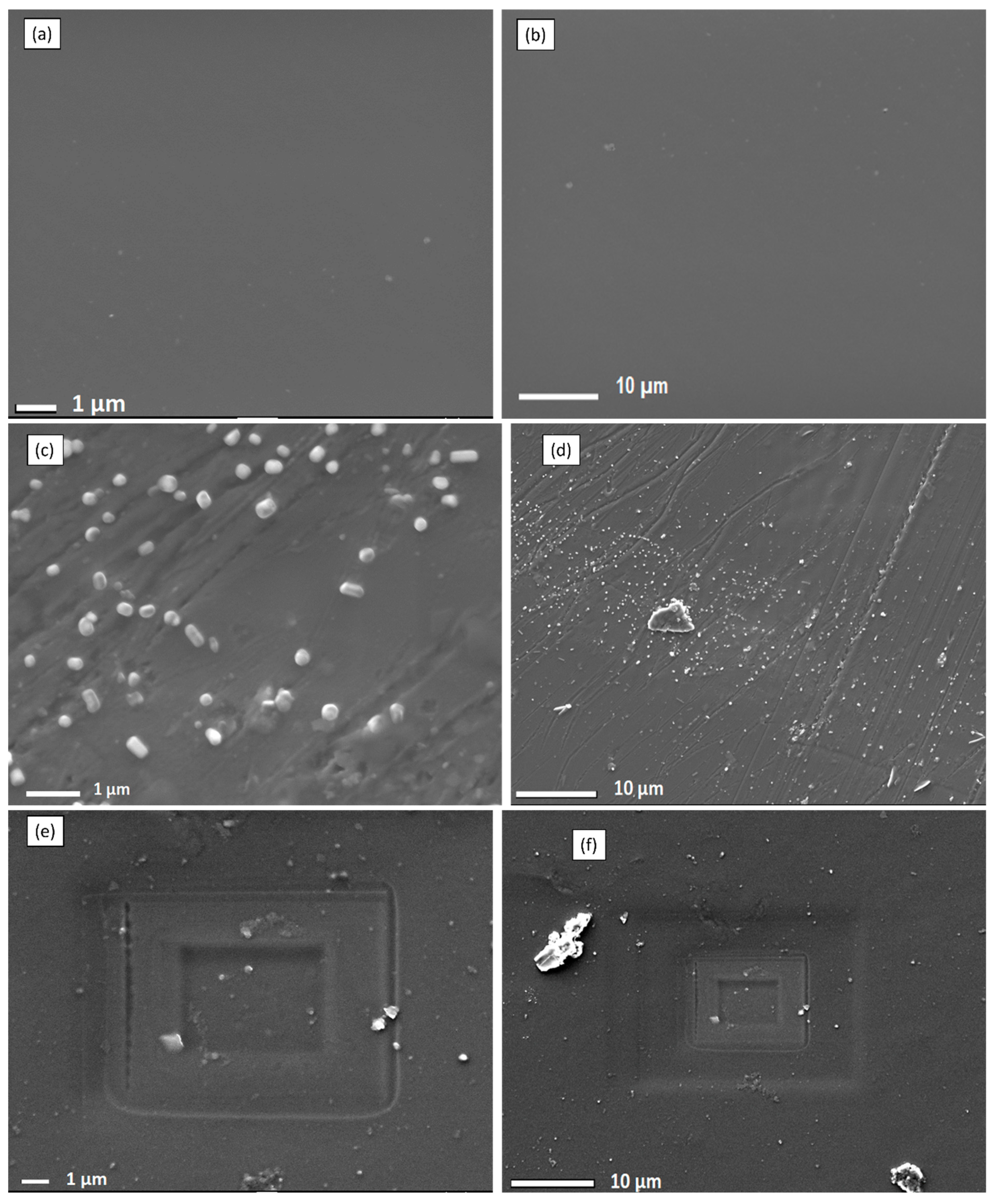 Membranes 13 00887 g003a Membranes 13 00887 g003a