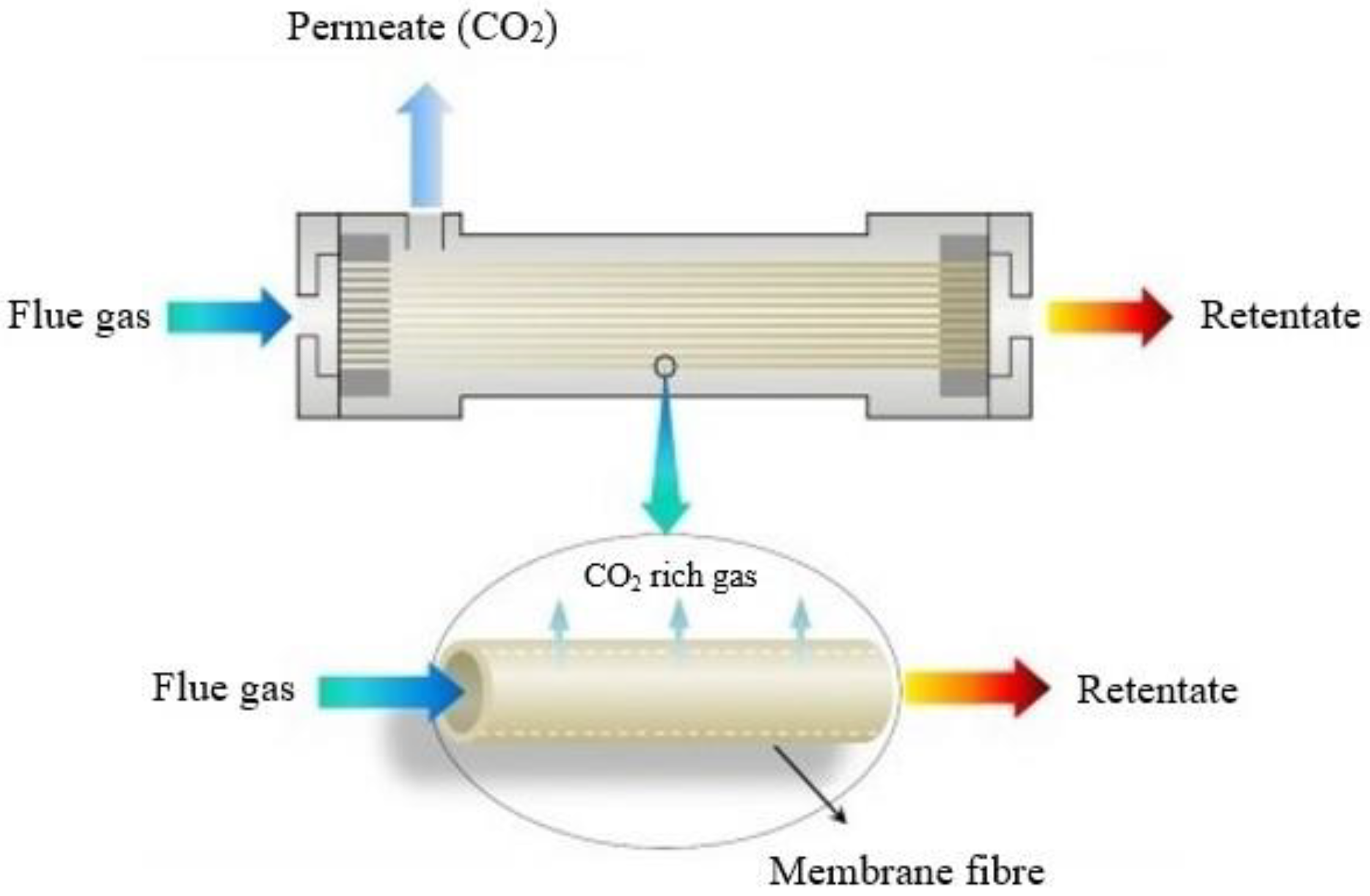 Membranes 13 00898 g005