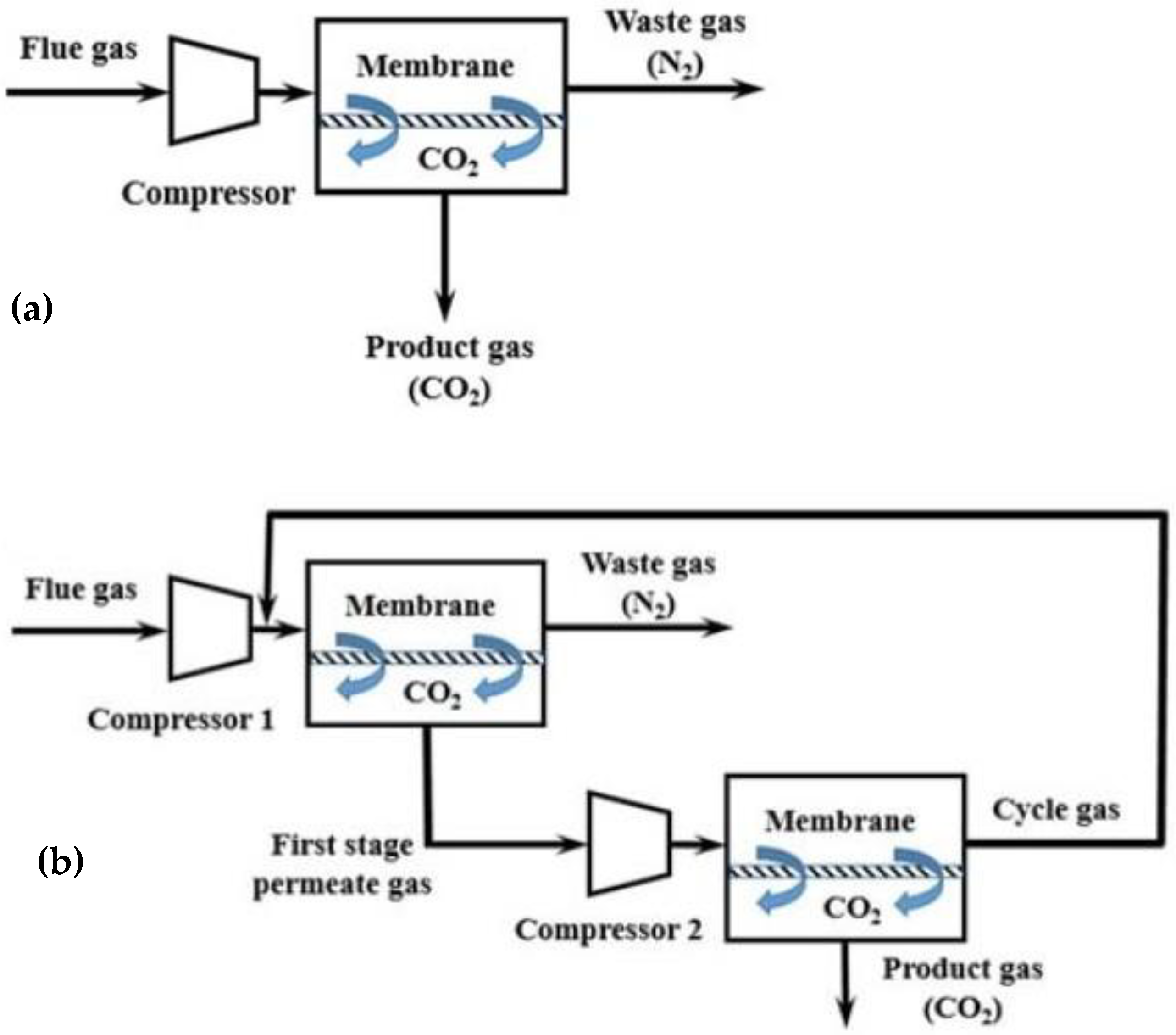 Membranes 13 00898 g008