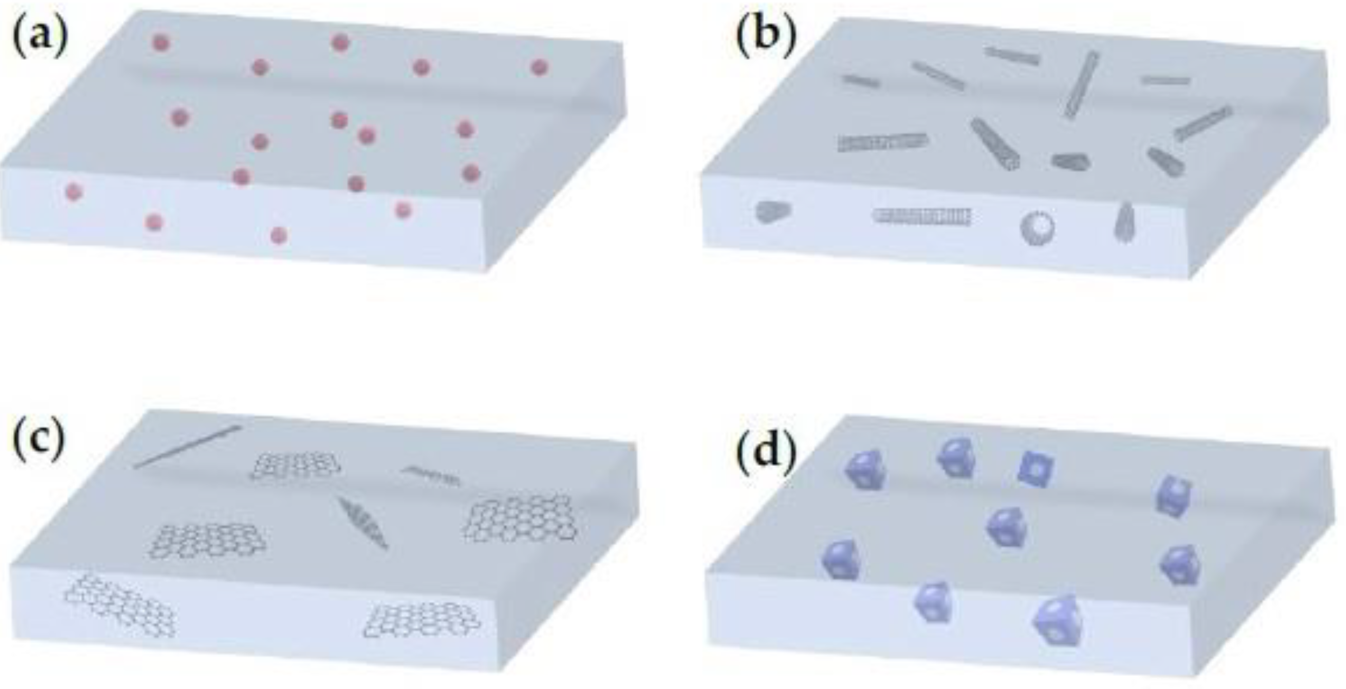 Membranes 13 00898 g011