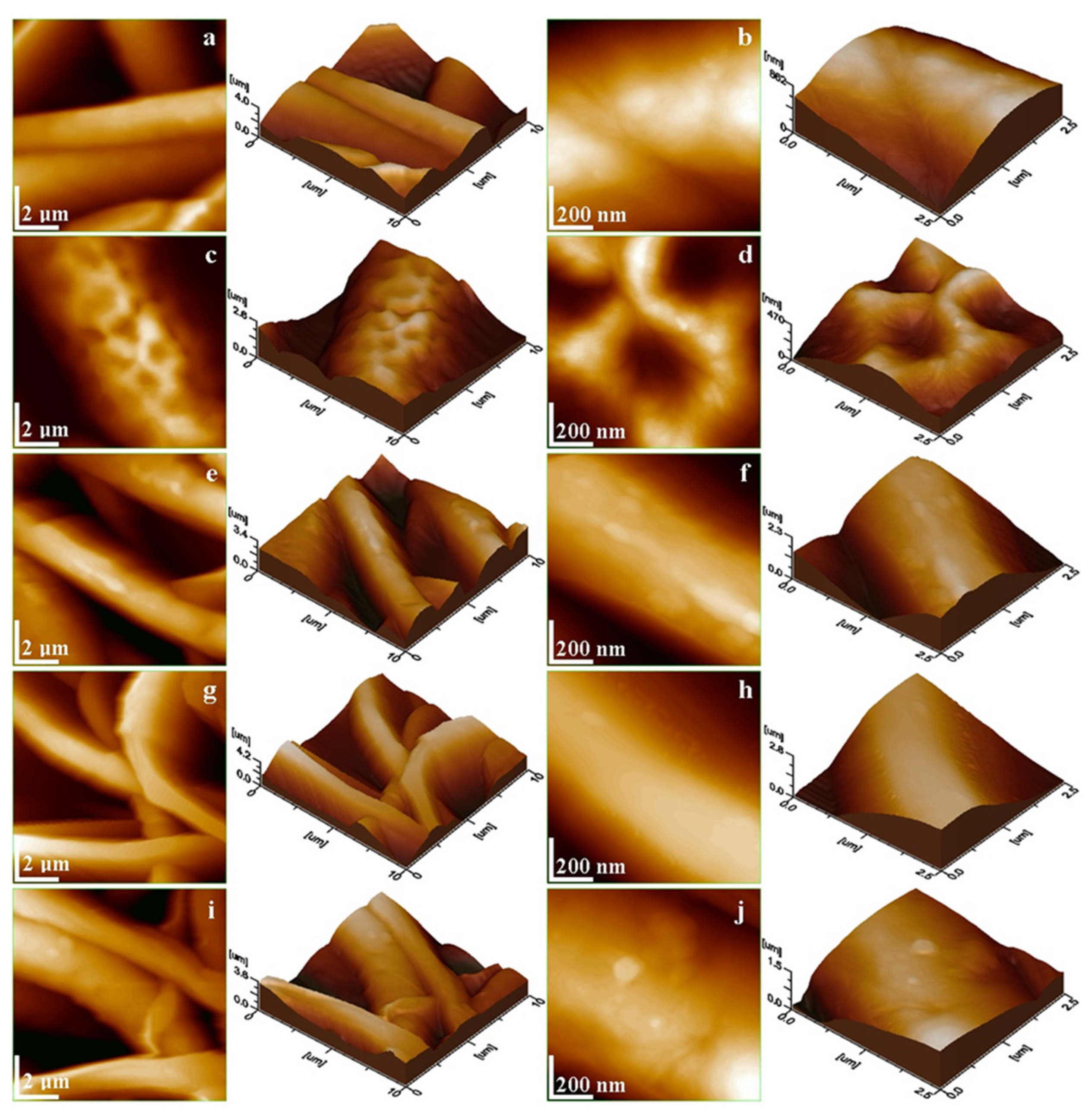 Membranes 14 00010 g003