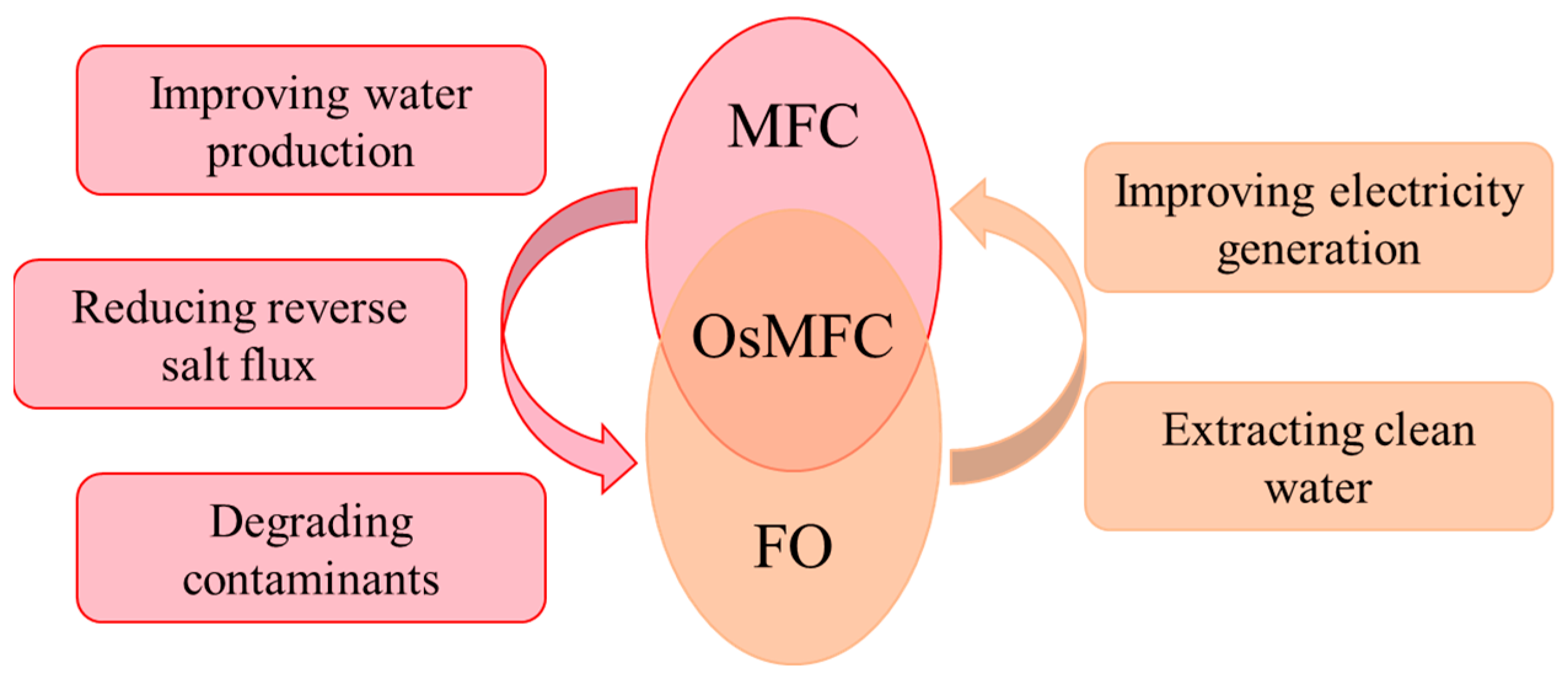 Membranes 14 00029 g002