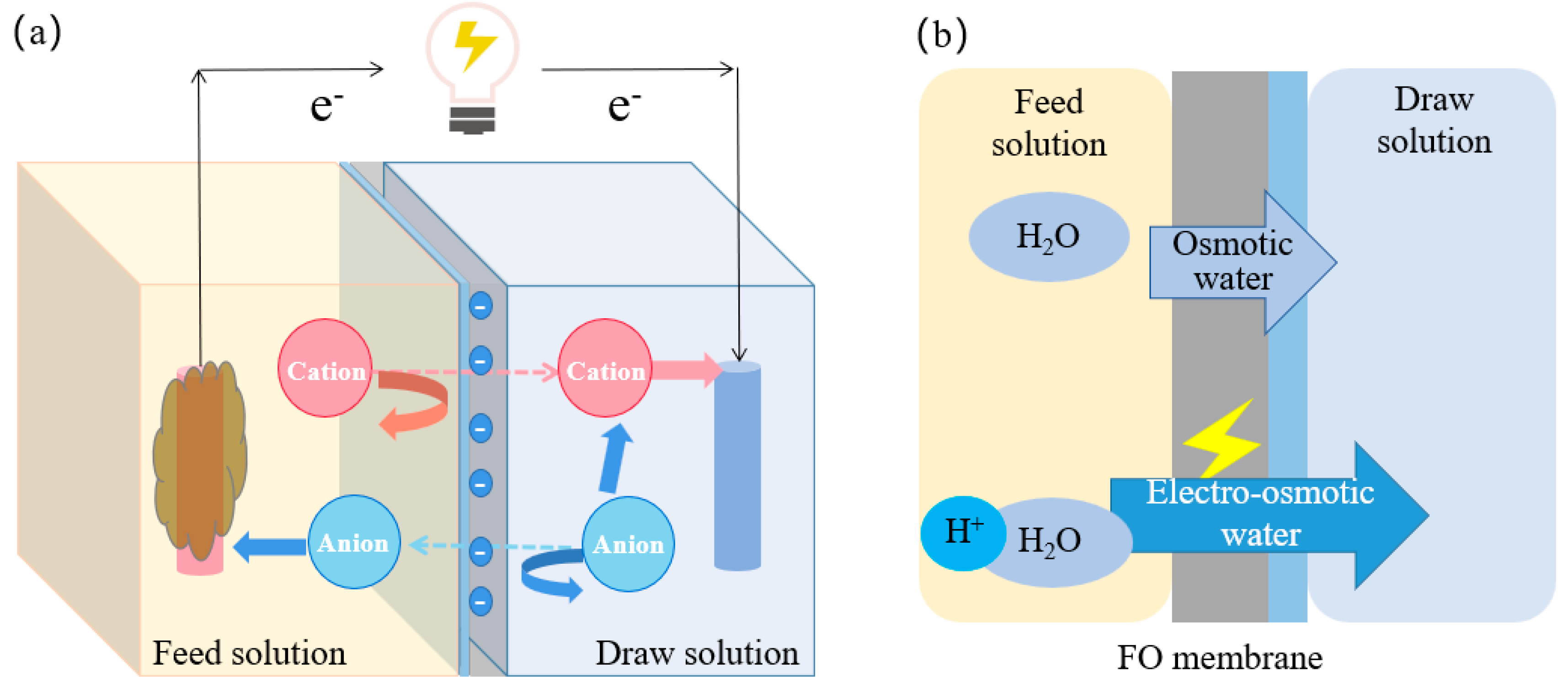 Membranes 14 00029 g003