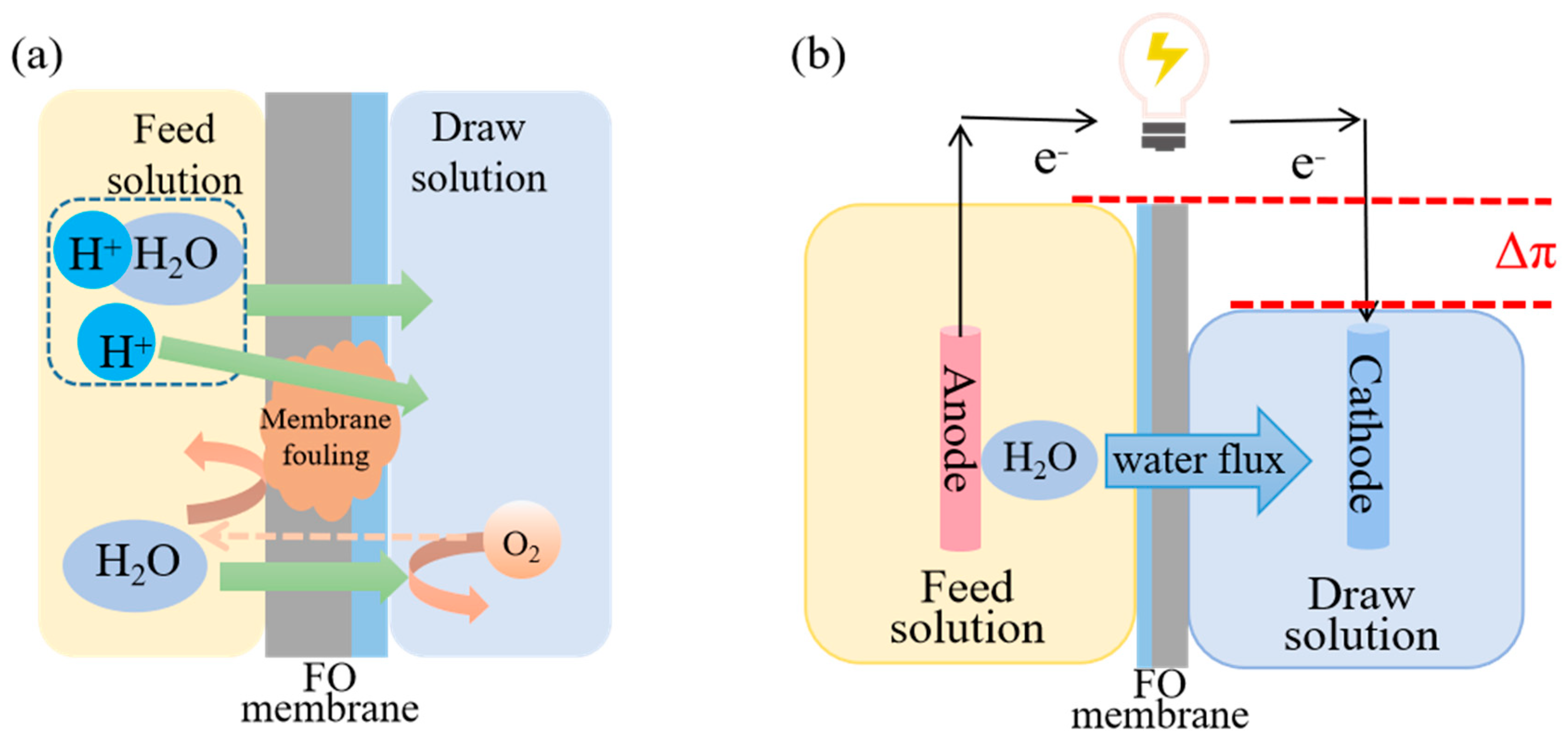 Membranes 14 00029 g004