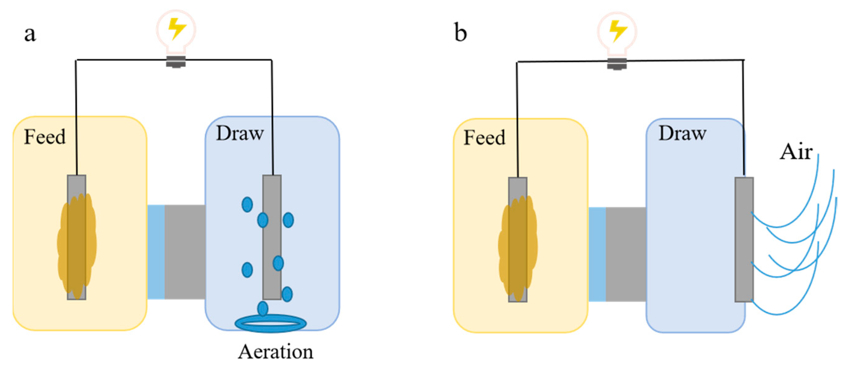 Membranes 14 00029 g005