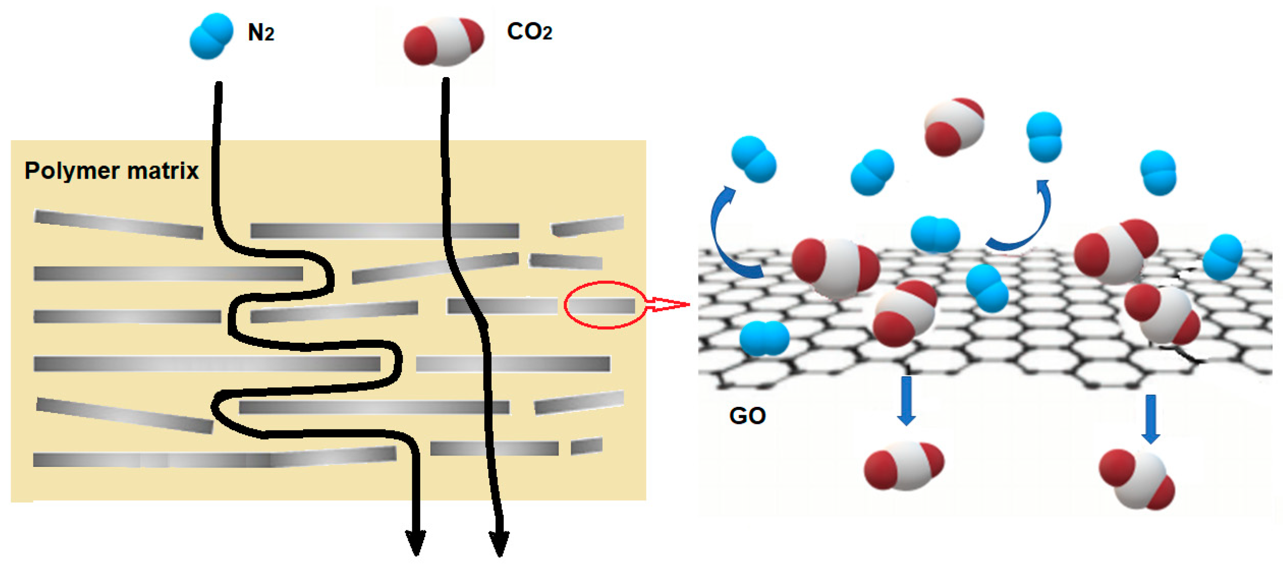 Membranes 14 00030 g005