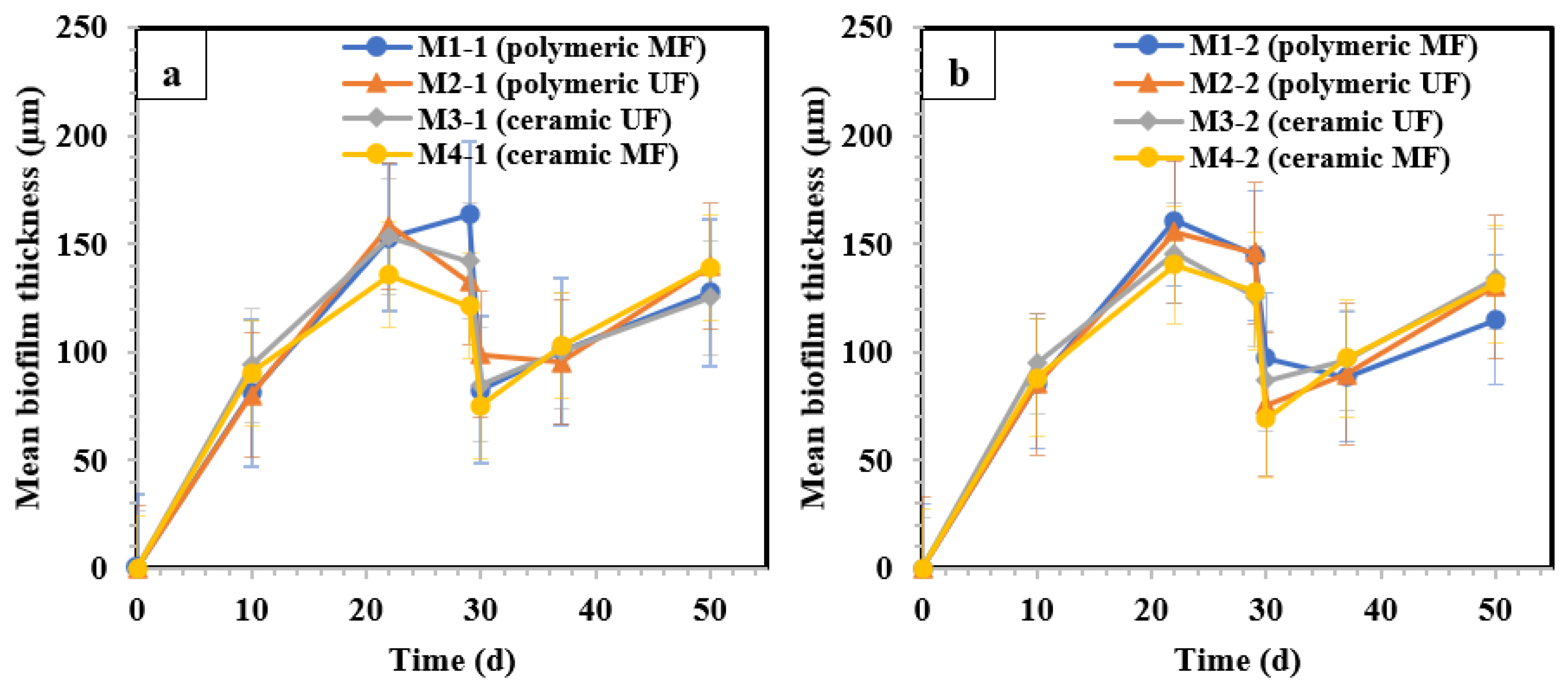 Membranes 14 00033 g006