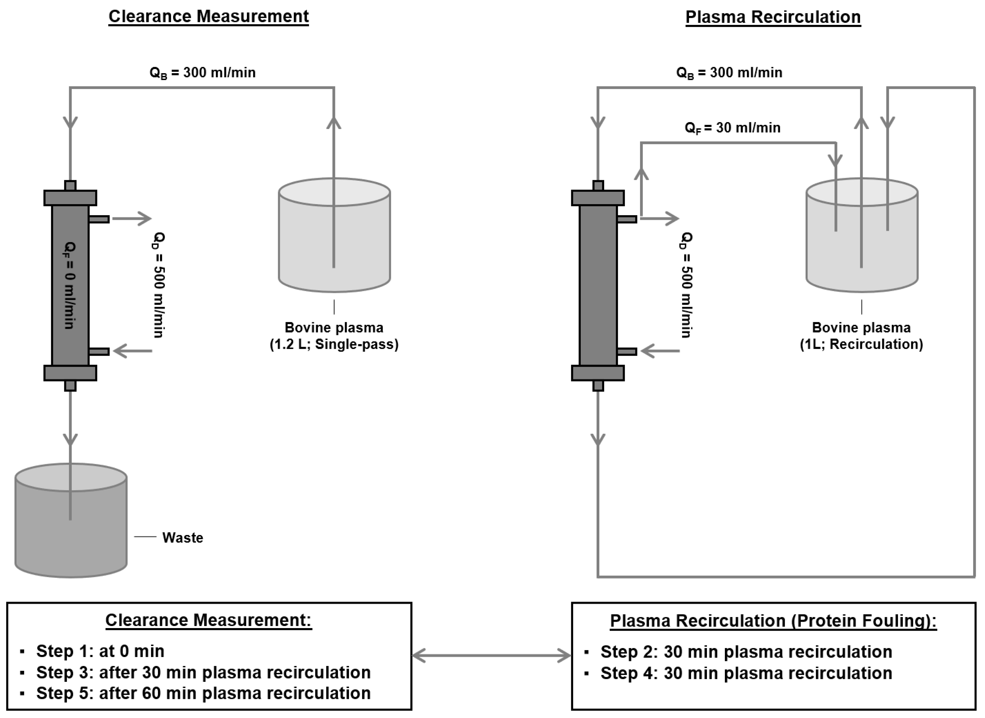 Membranes 14 00083 g001