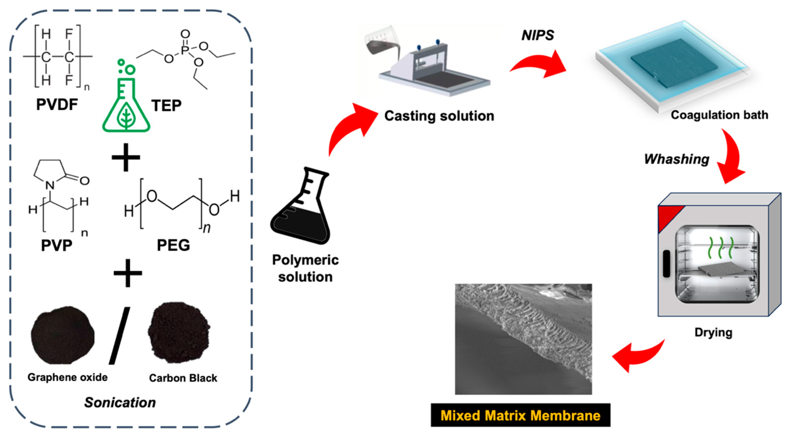 Membranes 14 00087 g001
