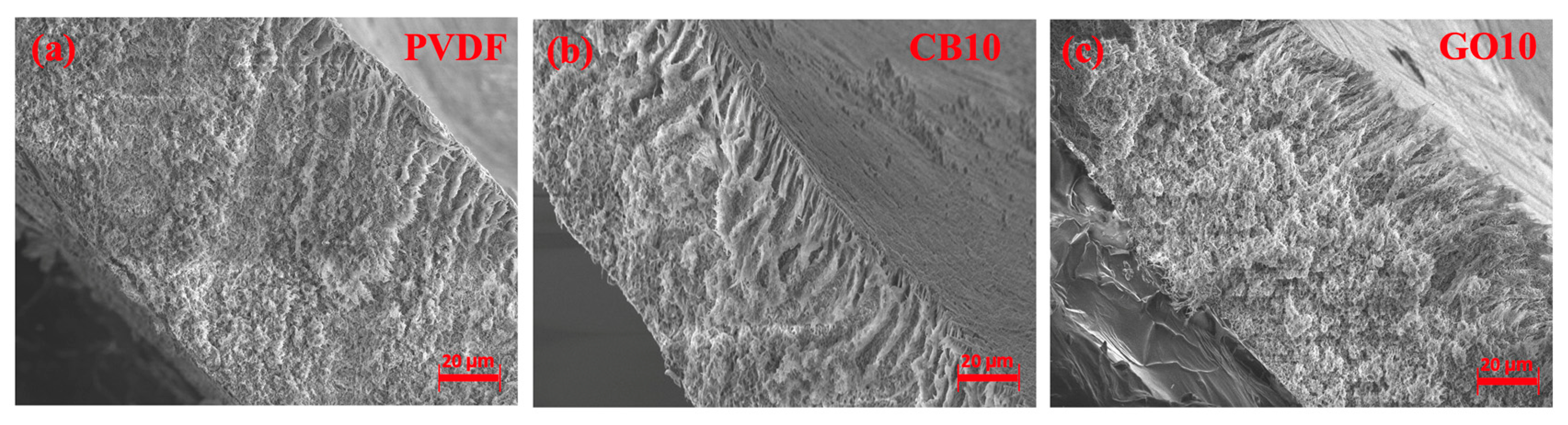 Membranes 14 00087 g002