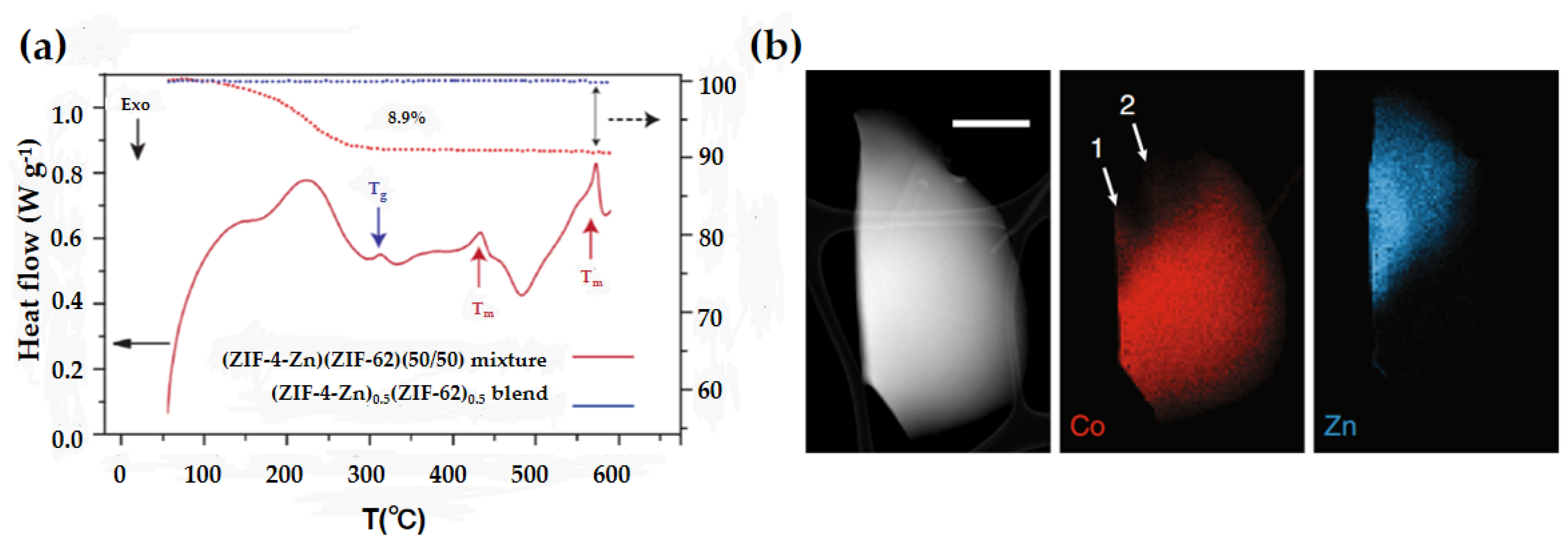 Membranes | Free Full-Text | A Short Review of Advances in MOF Glass ...