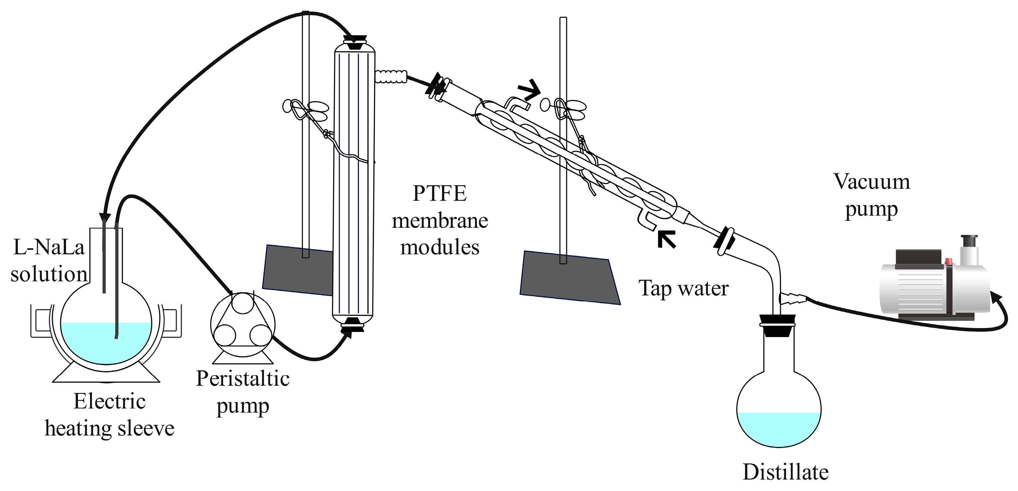 Membranes 14 00106 g002