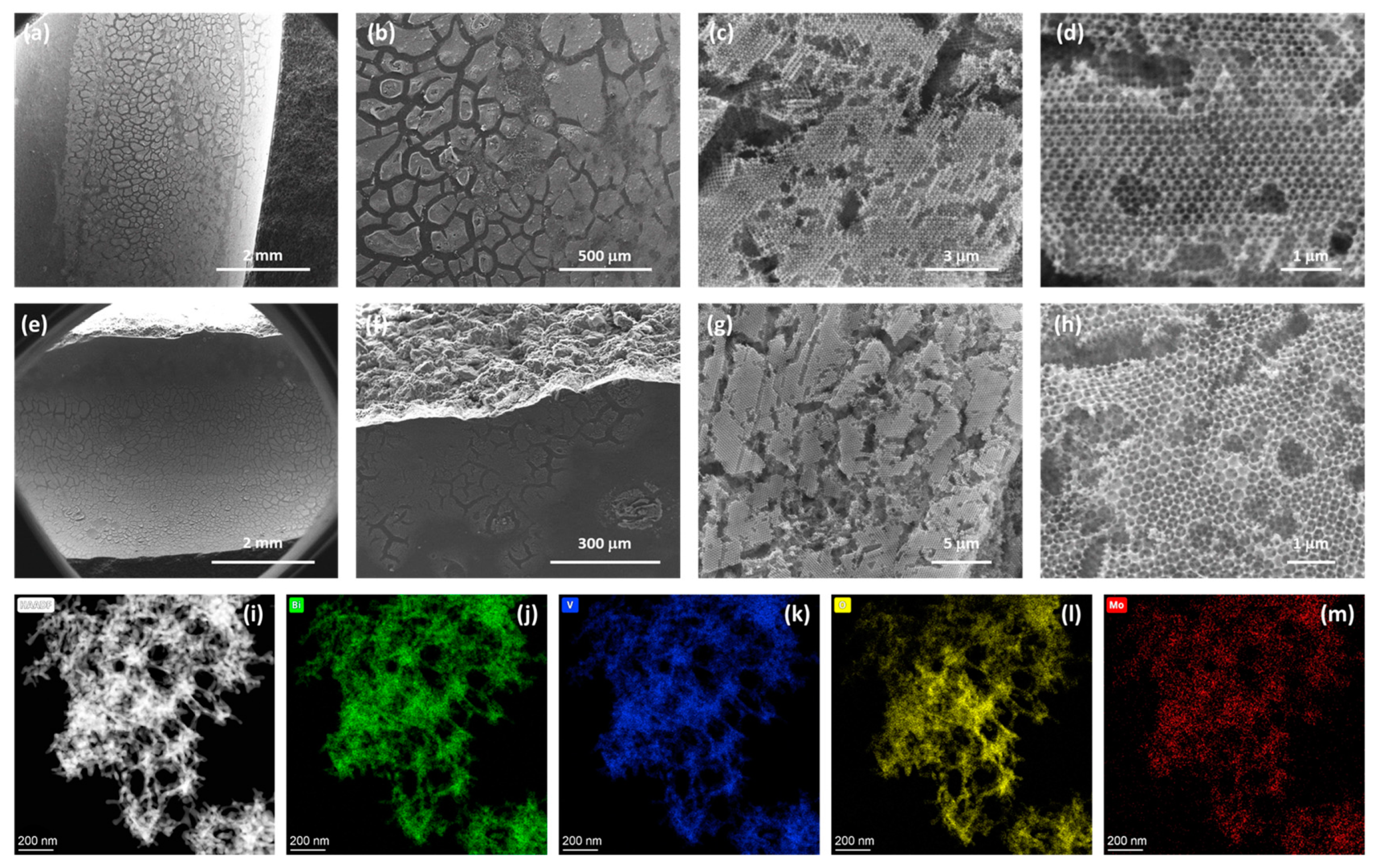Membranes 14 00112 g001