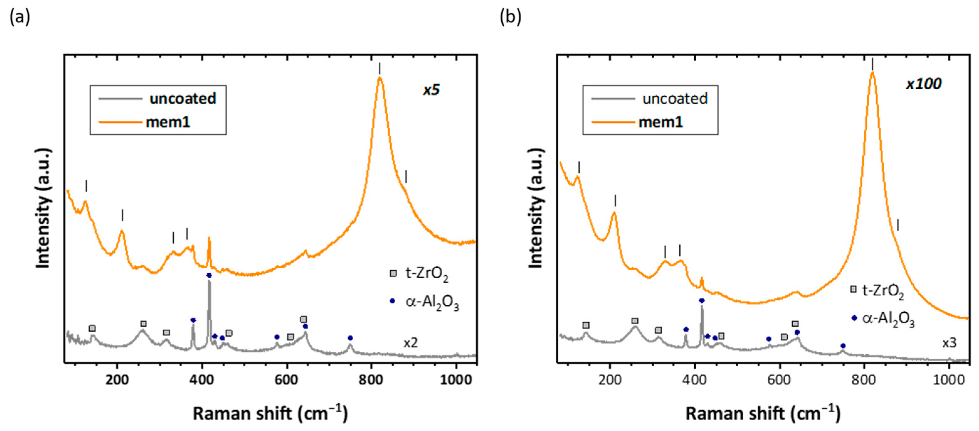 Membranes 14 00112 g002