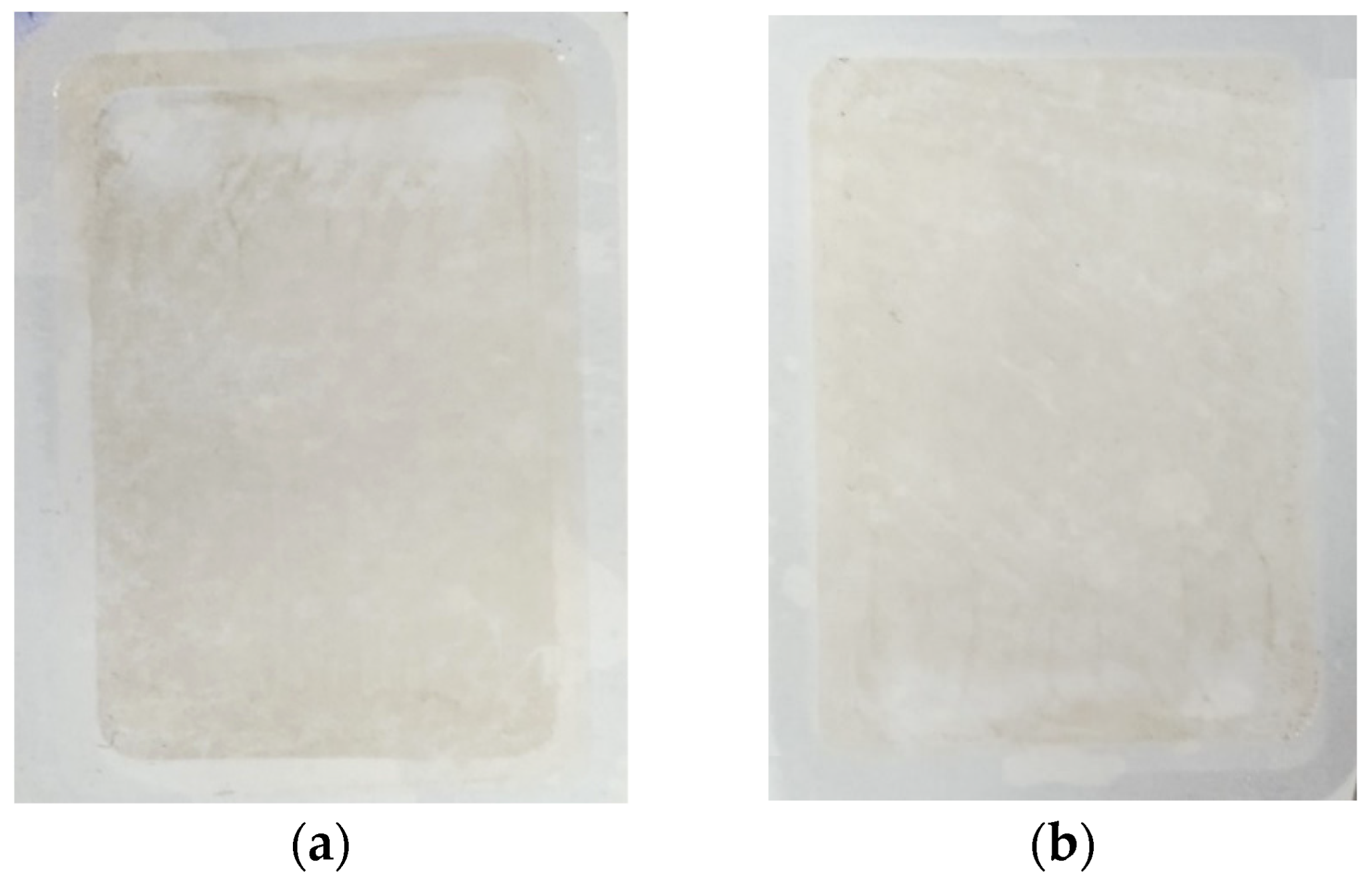 Membranes 14 00122 g023