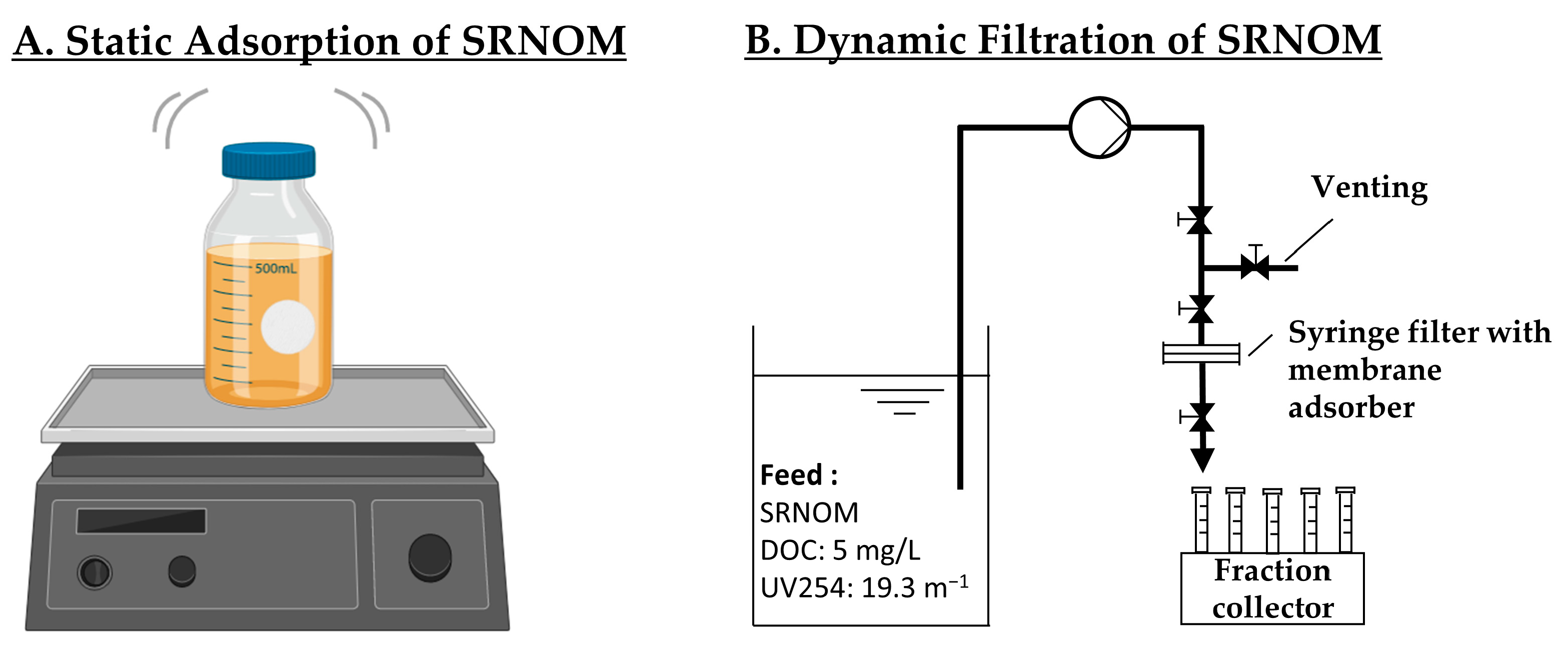 Membranes 14 00124 g001
