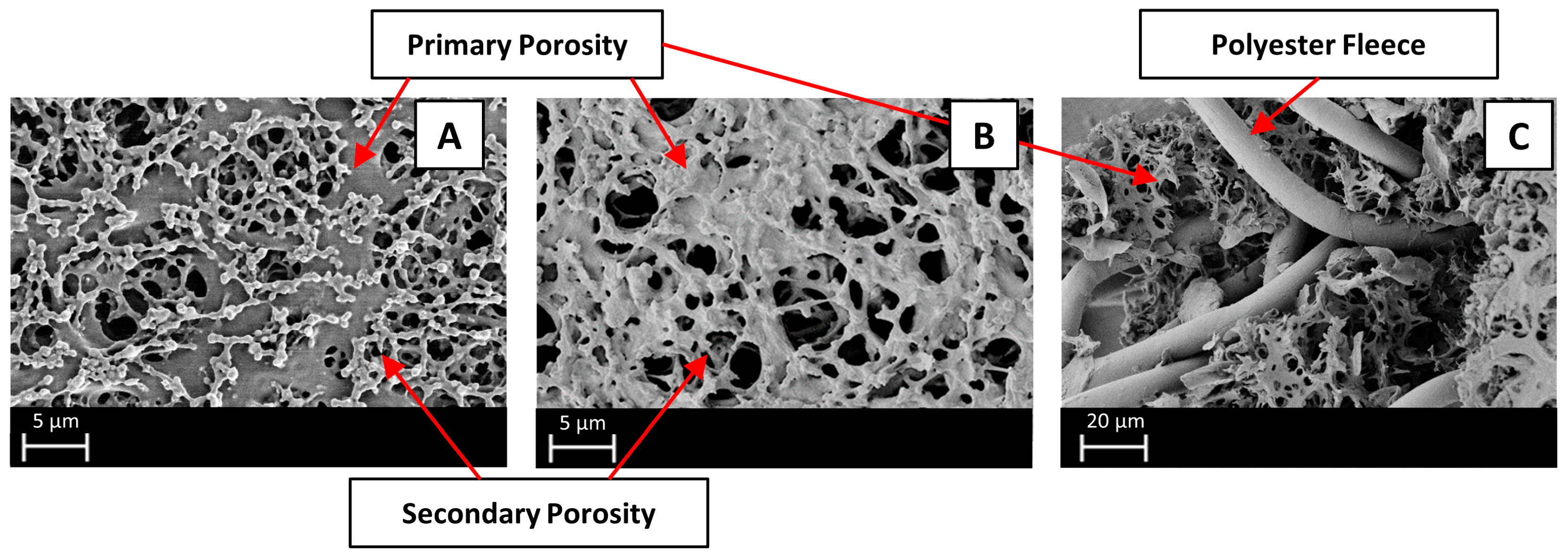 Membranes 14 00124 g003