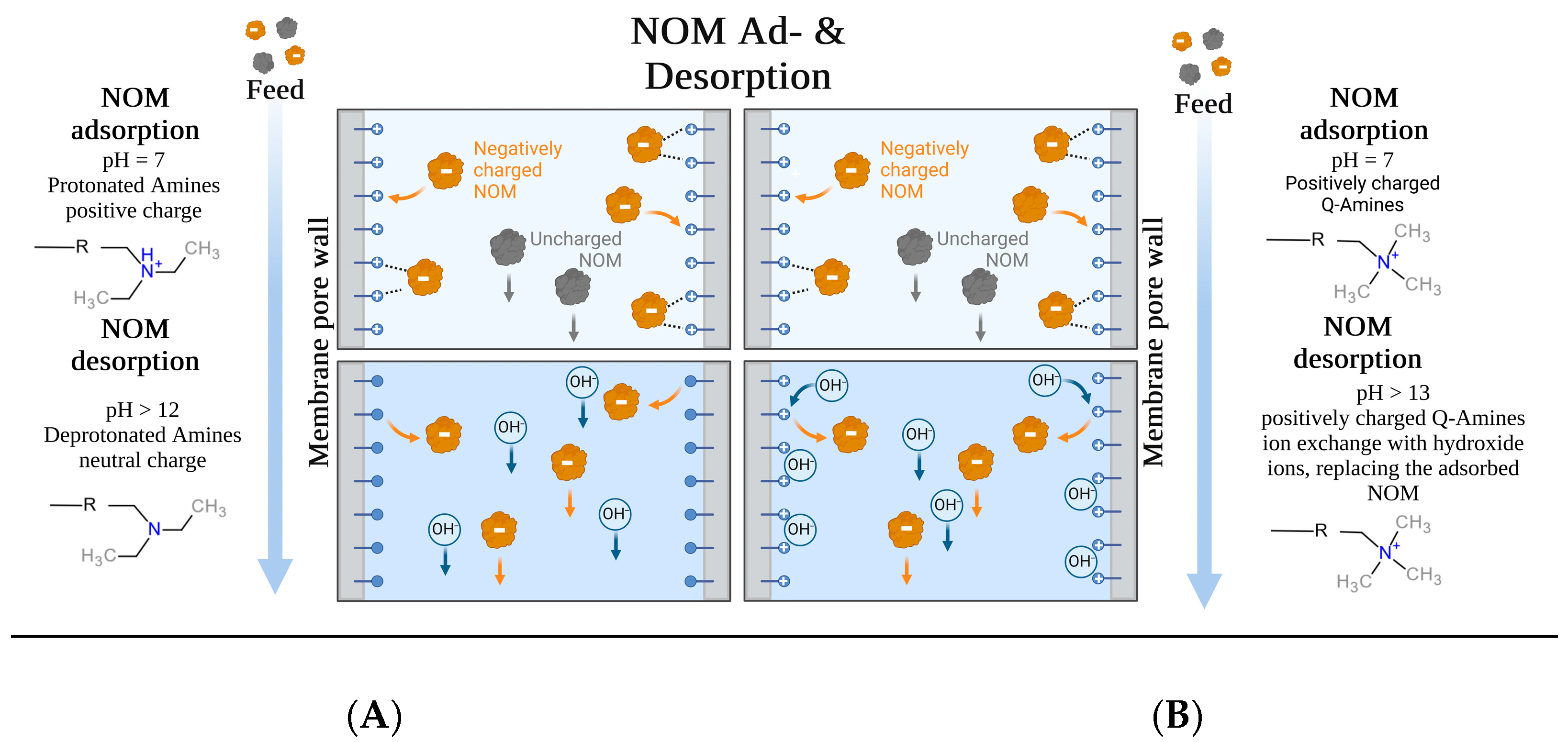 Membranes 14 00124 g011