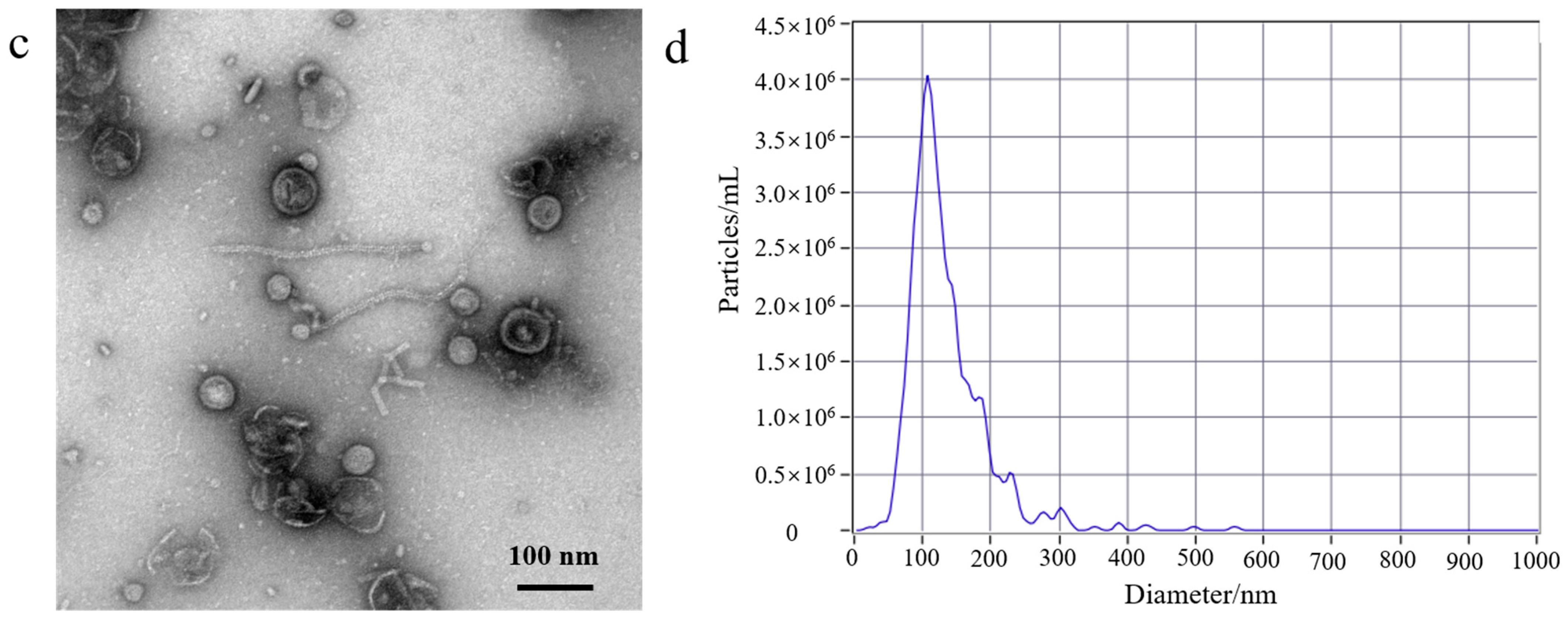 Membranes 14 00135 g001b