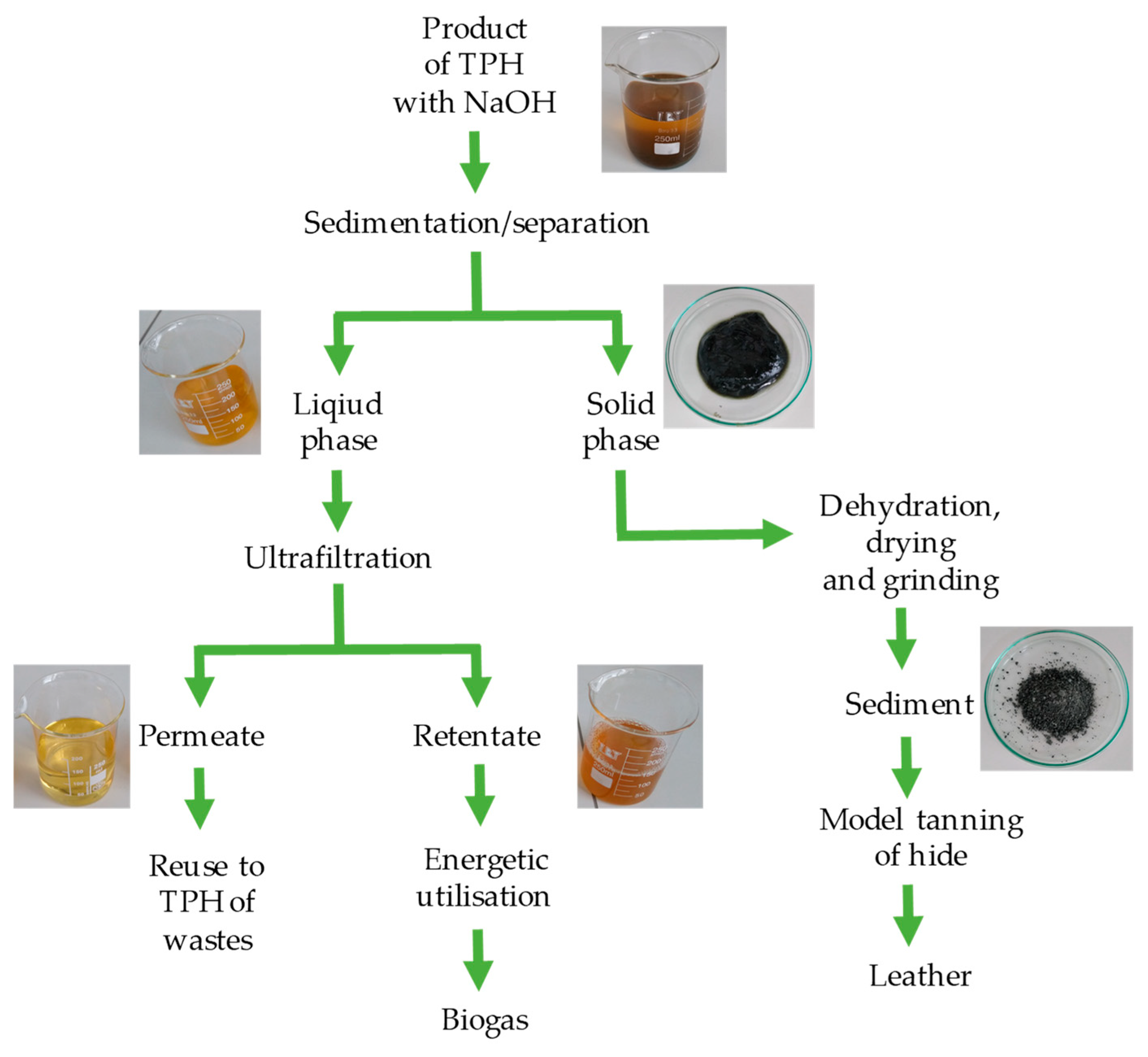 Membranes 14 00136 g001