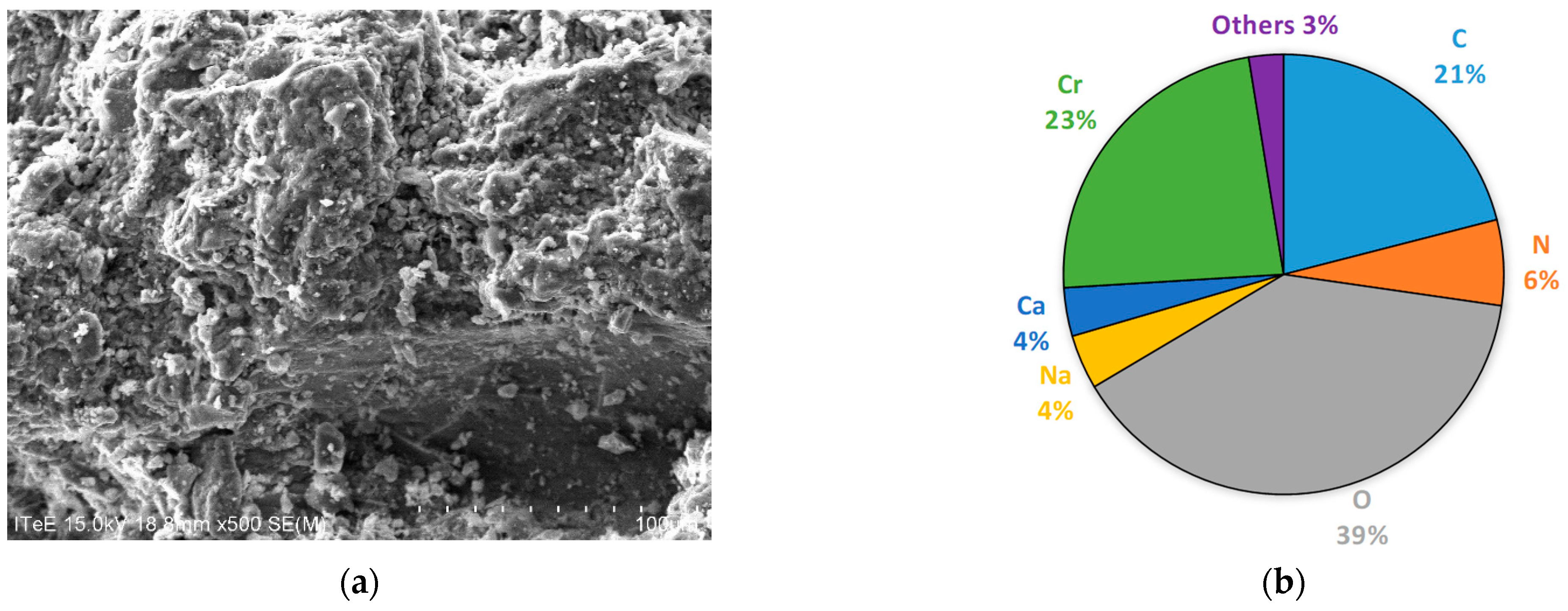 Membranes 14 00136 g002