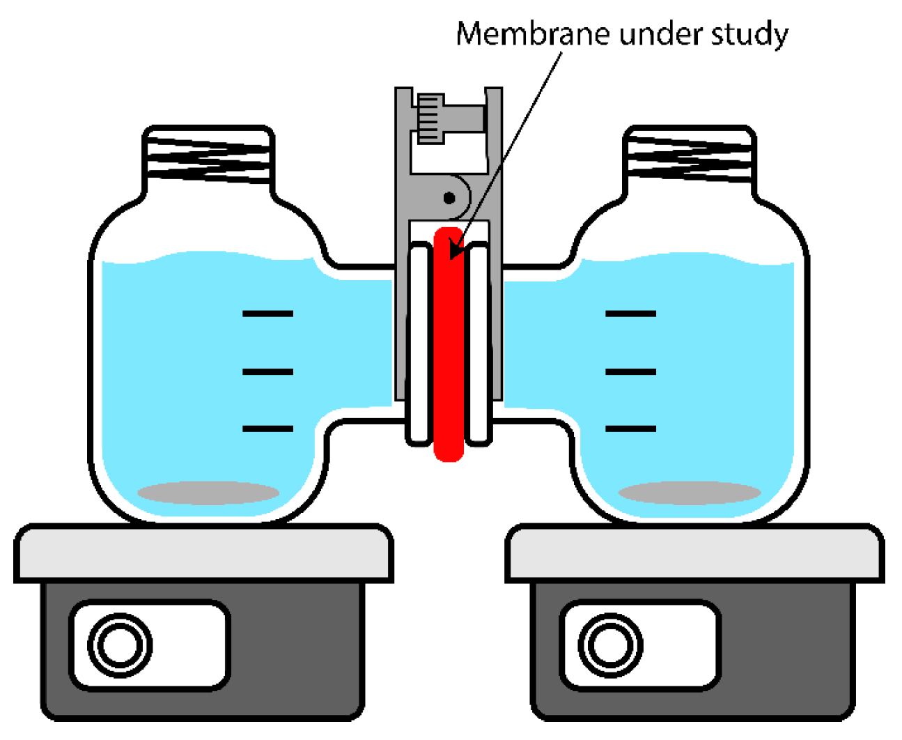 Membranes 14 00138 g003