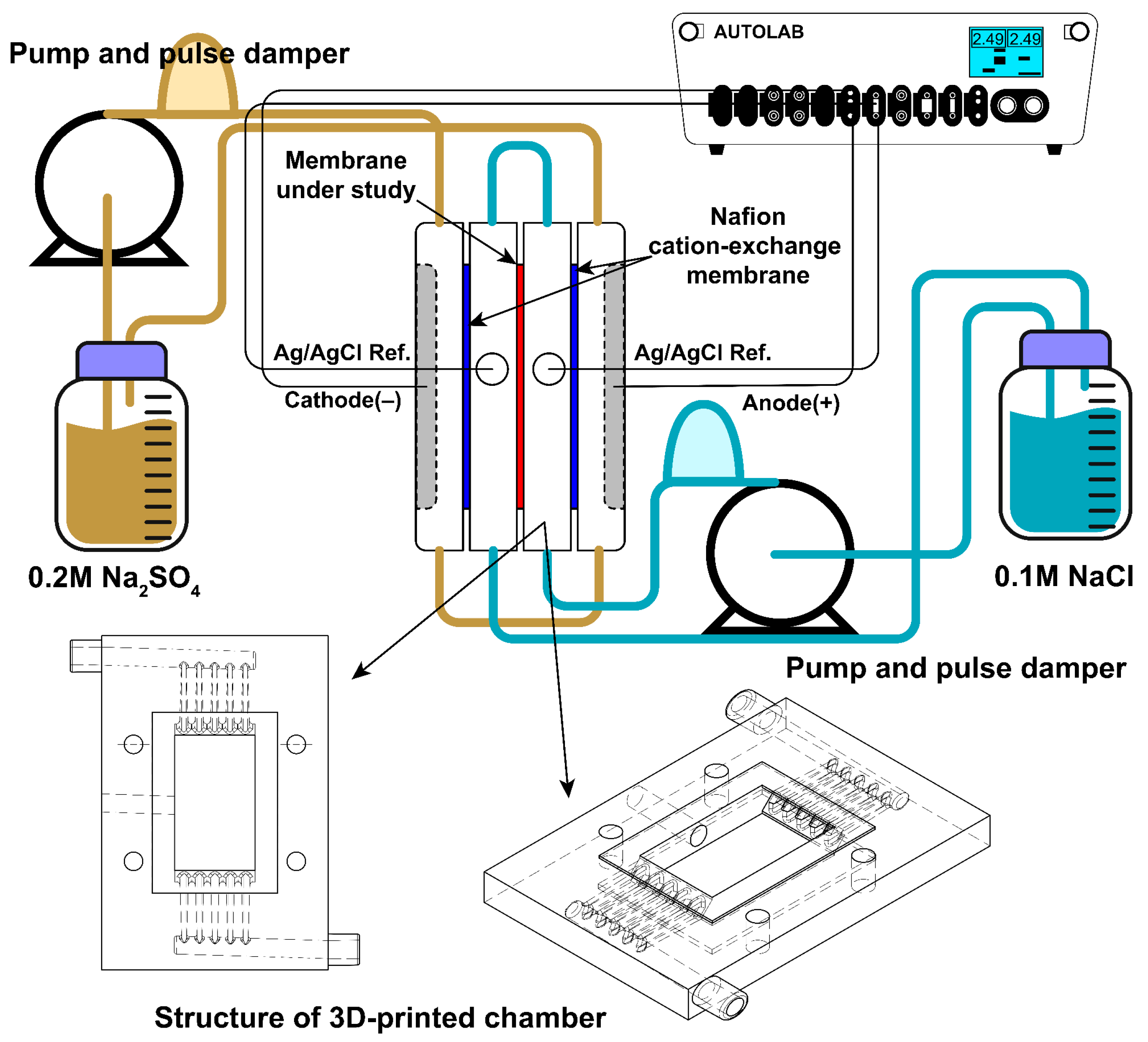 Membranes 14 00138 g004